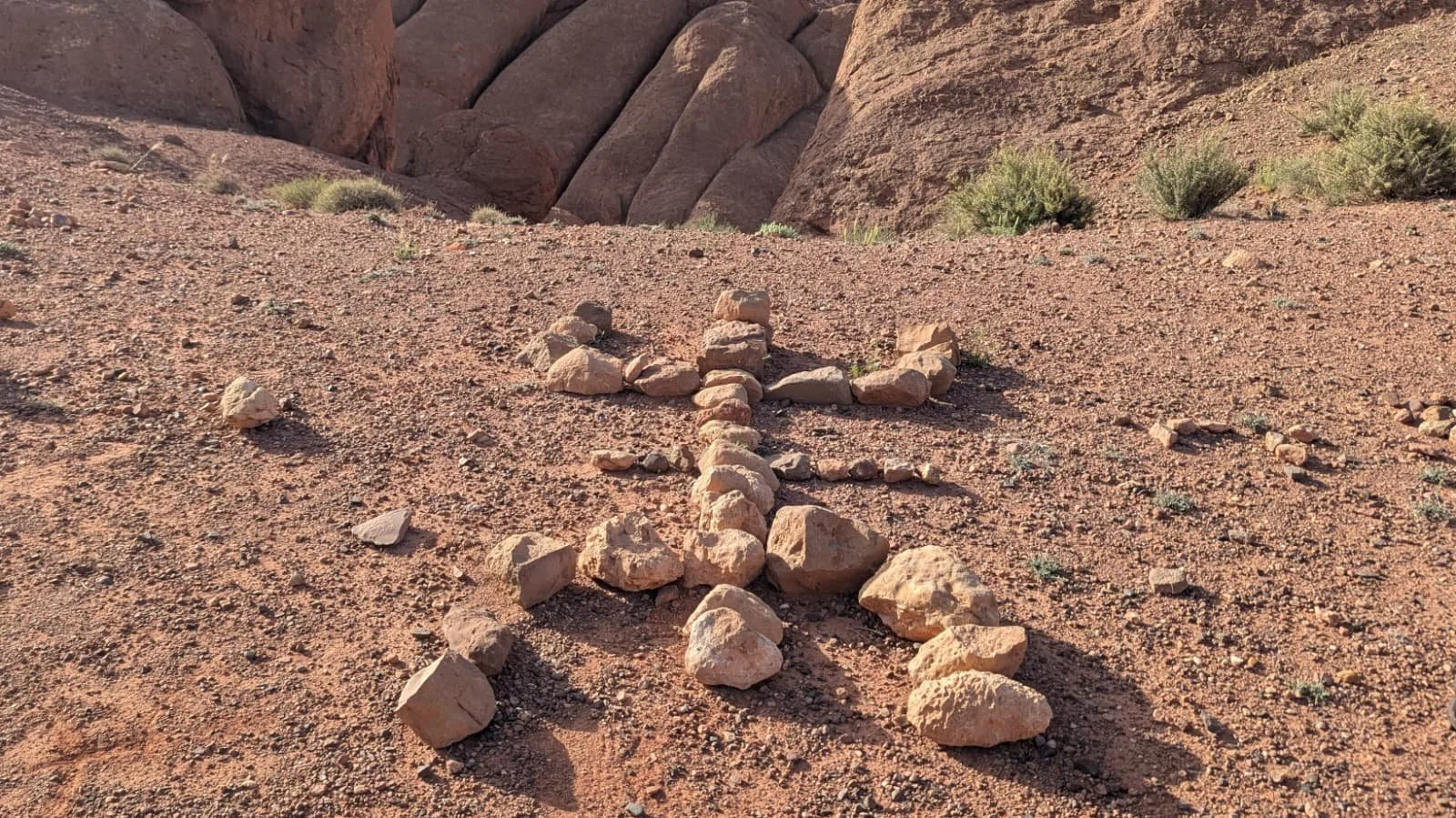 WhatsApp Image 2026-01-27 at 15.57.39.jpeg