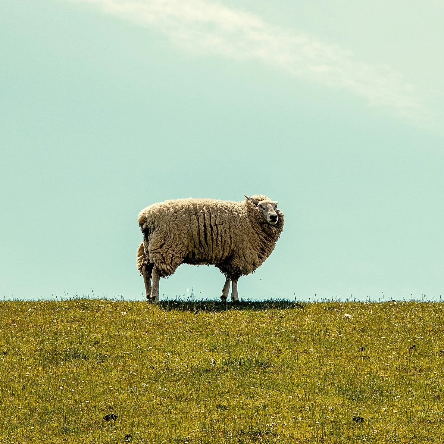 Sayings of Jesus: Parables