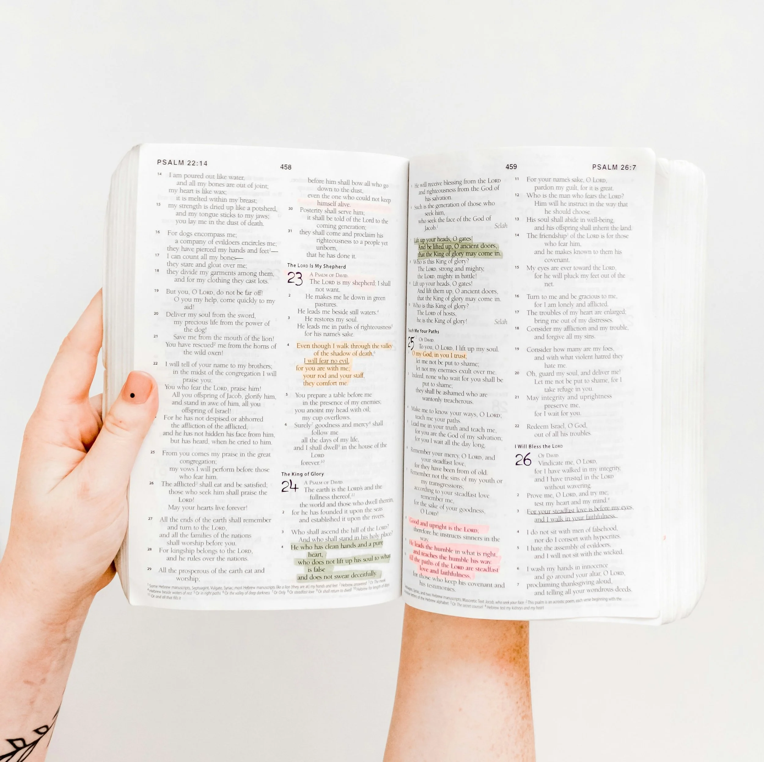 Does the Bible Shape Us, or Do We Shape the Bible?