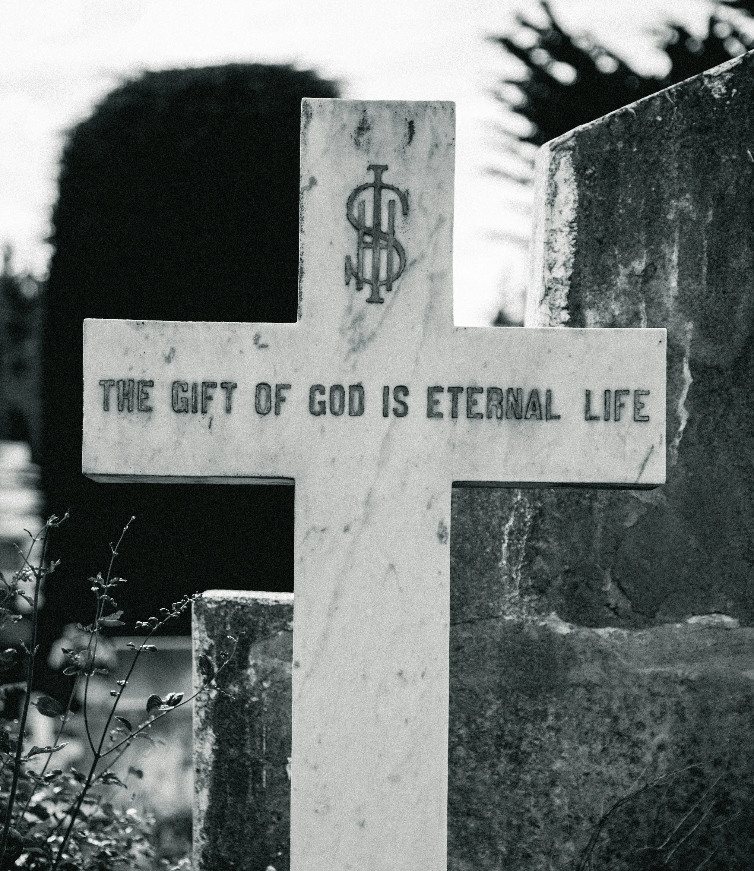 Eternal Life: Who Gets It? How Do They Get It?