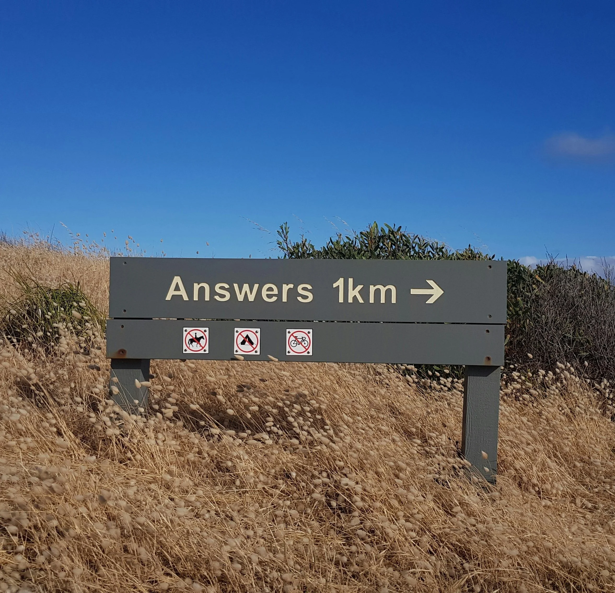 Why Did Jesus Ask So Many Questions?