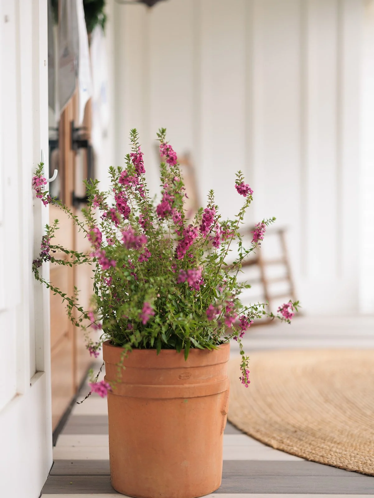 Jaunty_J_Interiors_Bay_House_Gulf_Breeze_FL_Exterior_Decor.jpg.jpg