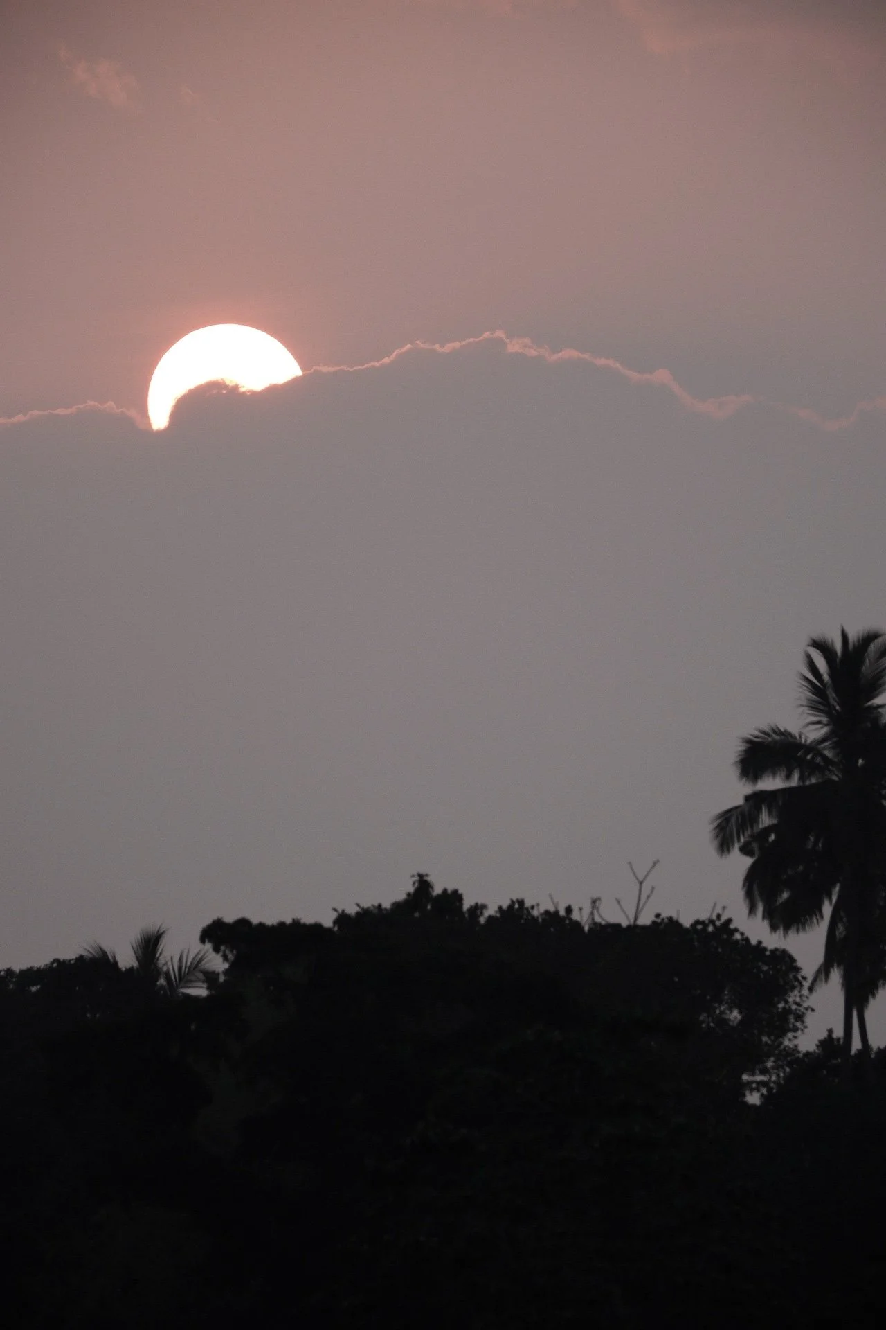 flowground house and retreat home, sri lanka.- nature shots_ 25.JPG