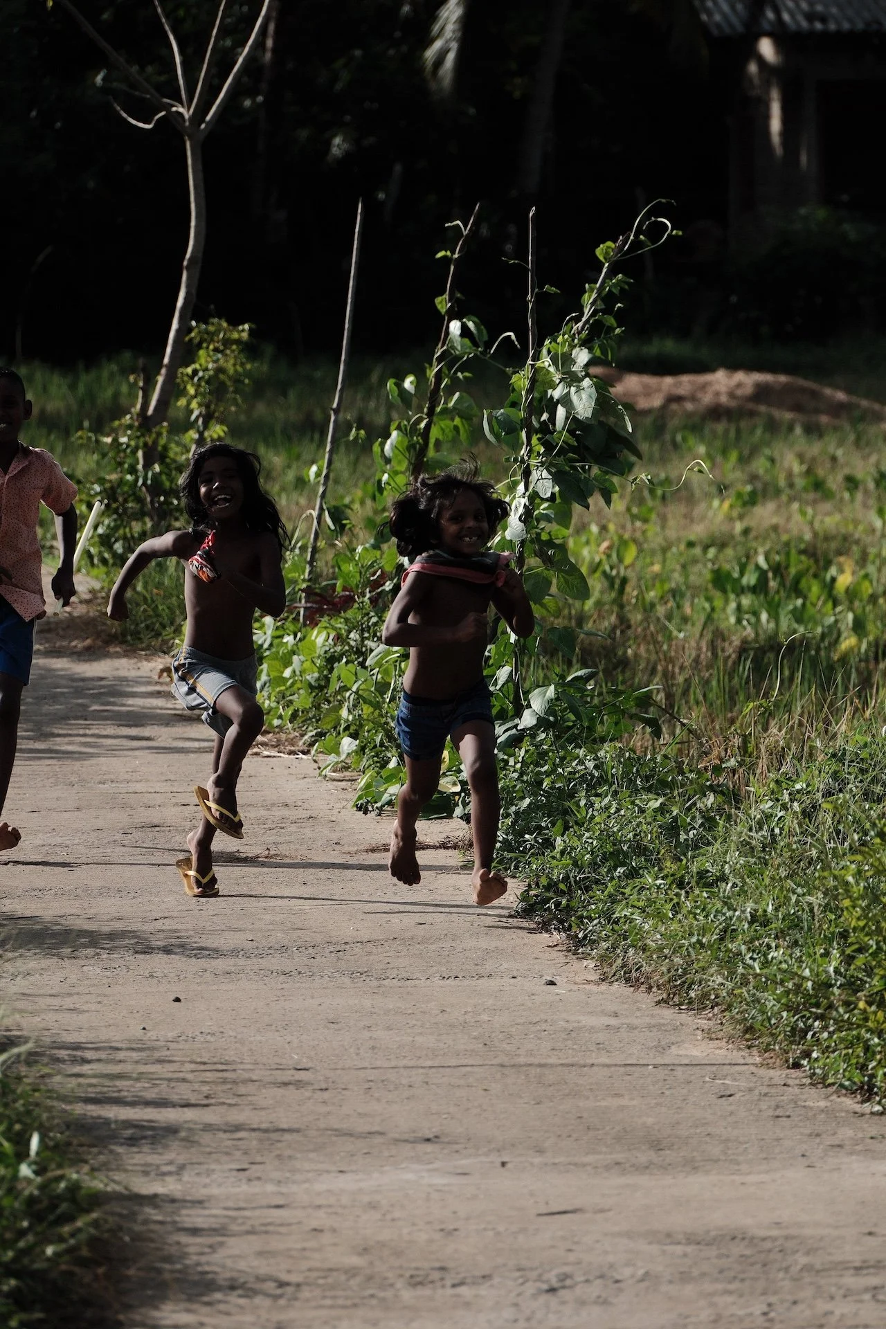 flowground house and retreat home, sri lanka.- nature shots_ 40.JPG