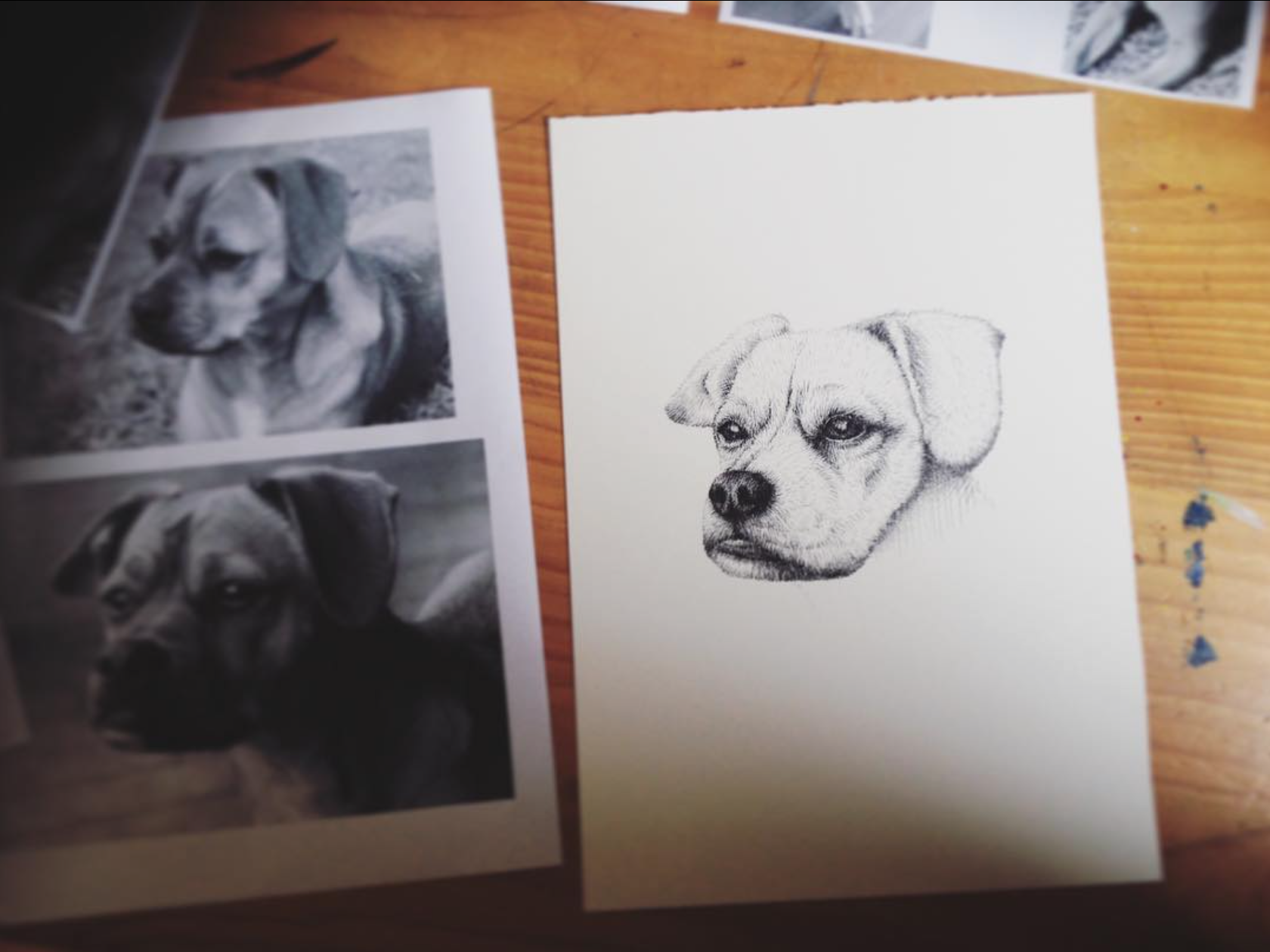 Pet Portrait Commission