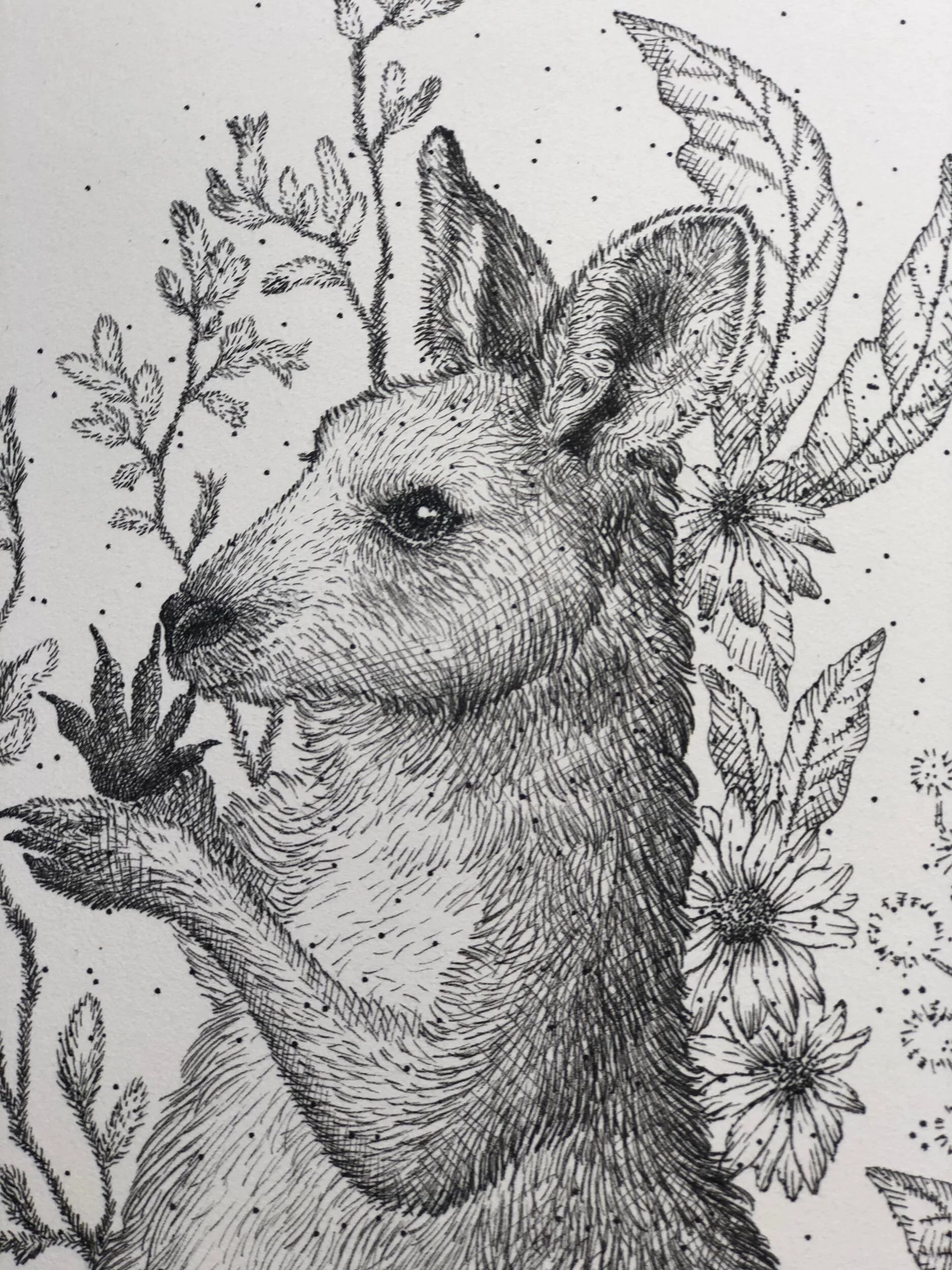 457B46A6-AC6C-4502-BF15-55855A45884A