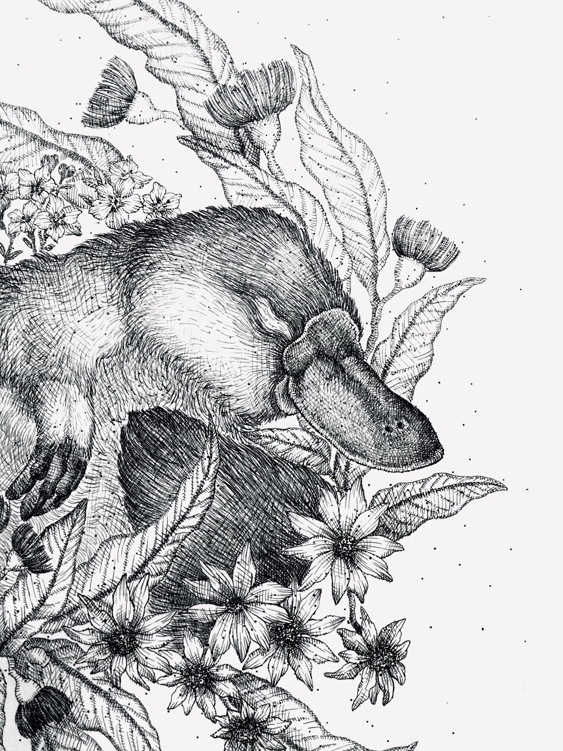 DB6BFE00-D6CF-4475-B702-00CDA0EEA8EE