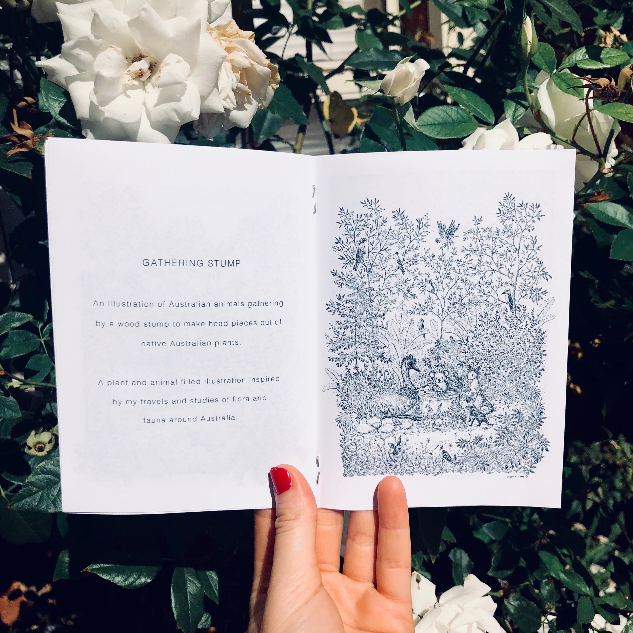 Heide Markers Market