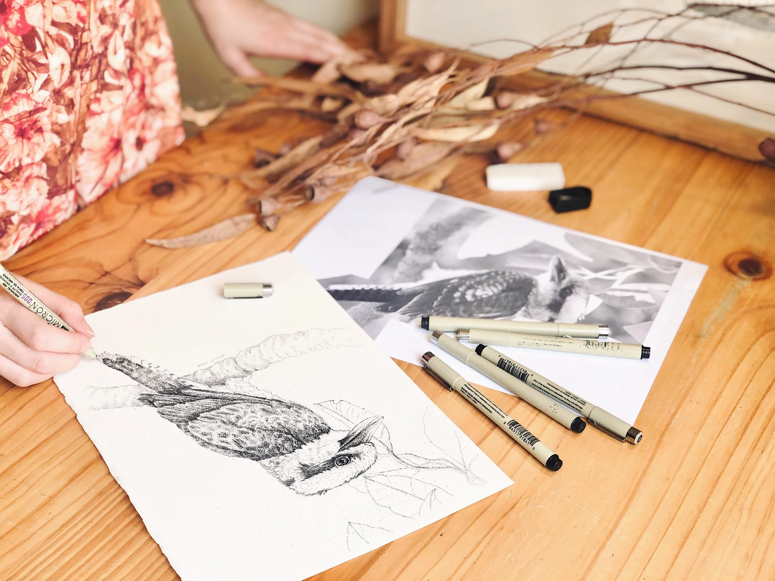 Adults Wildlife Drawing Workshop
