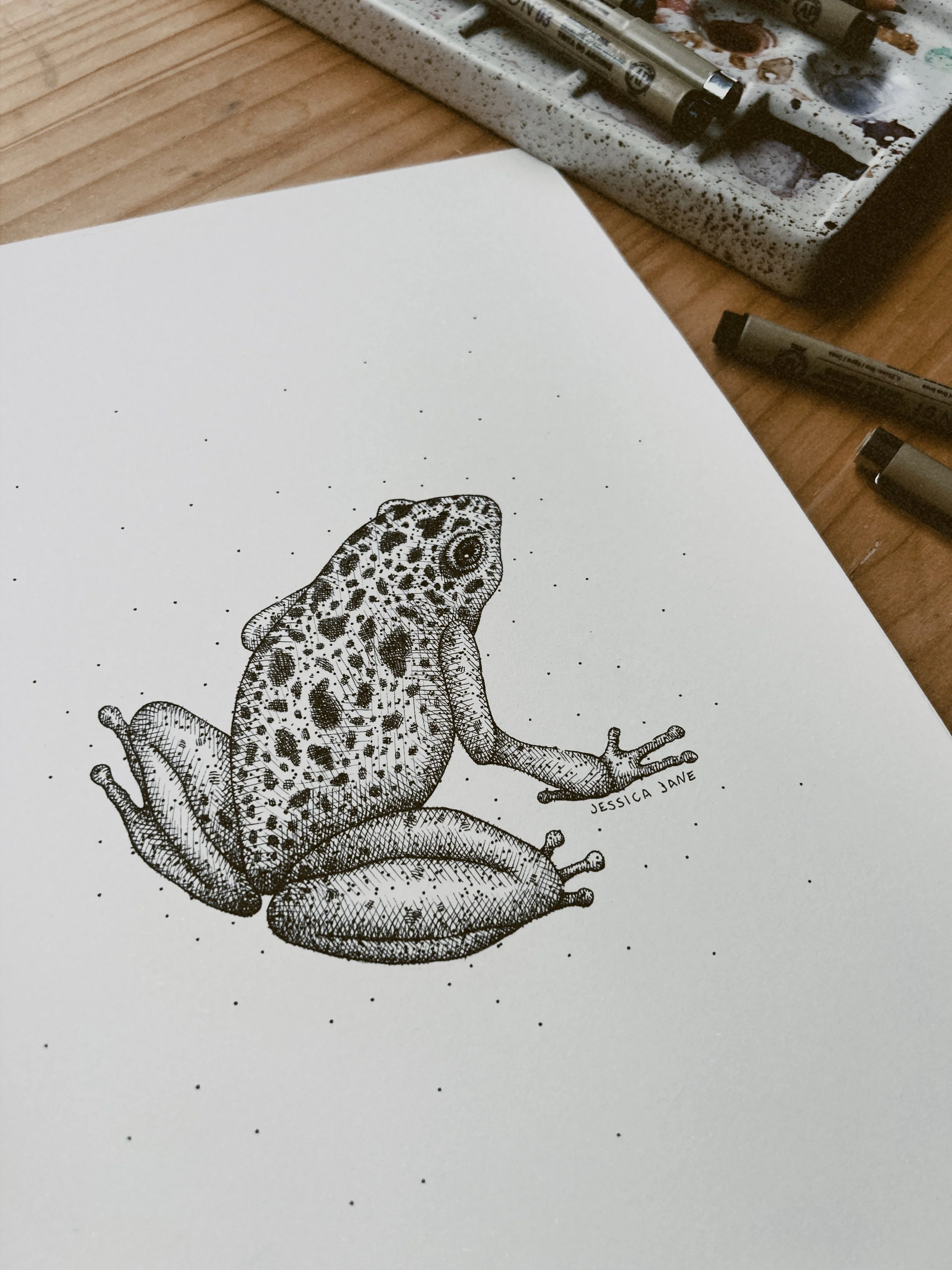 11_Blue Posin Dart Frog_JessicaJane.JPG