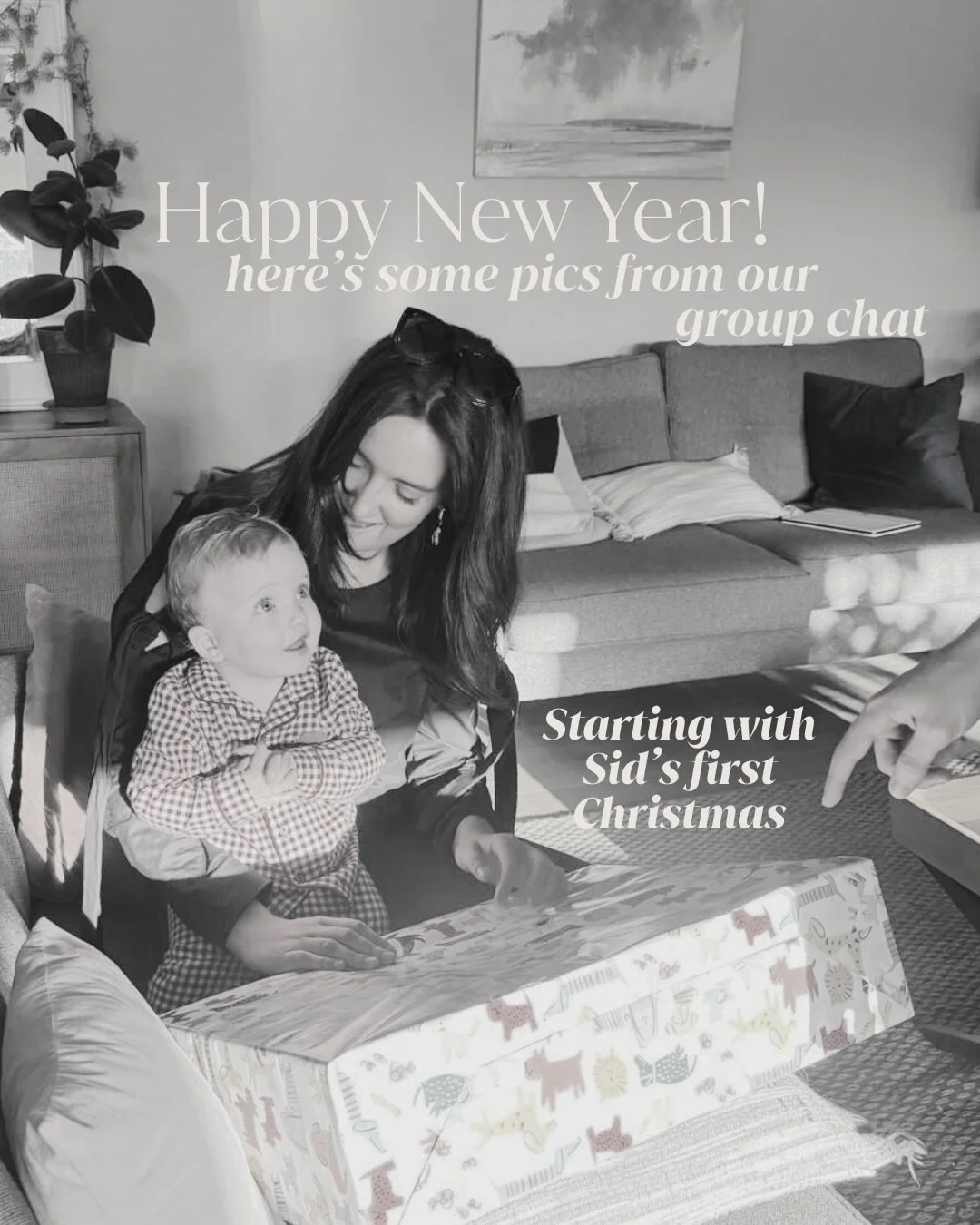 Happy New Year from us and apparently our dogs. Stevie is furious she didn&rsquo;t make the cut. 

I personally cannot WAIT to get back to work on Monday, but until then we hope you all have a delightful start to 2026