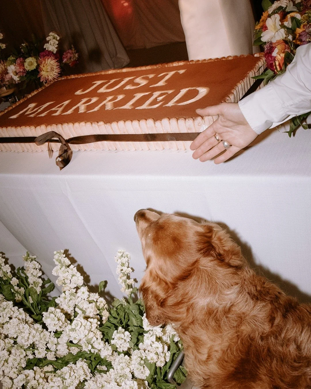 A HUGE trend (that we strongly support) that we're seeing continued into 2026 is giant desserts, exactly like this one from S&amp;E's wedding last July.

10/10. Also recommend having a furry pal keep a watchful eye...

#weddingcake #dogsatweddings #w