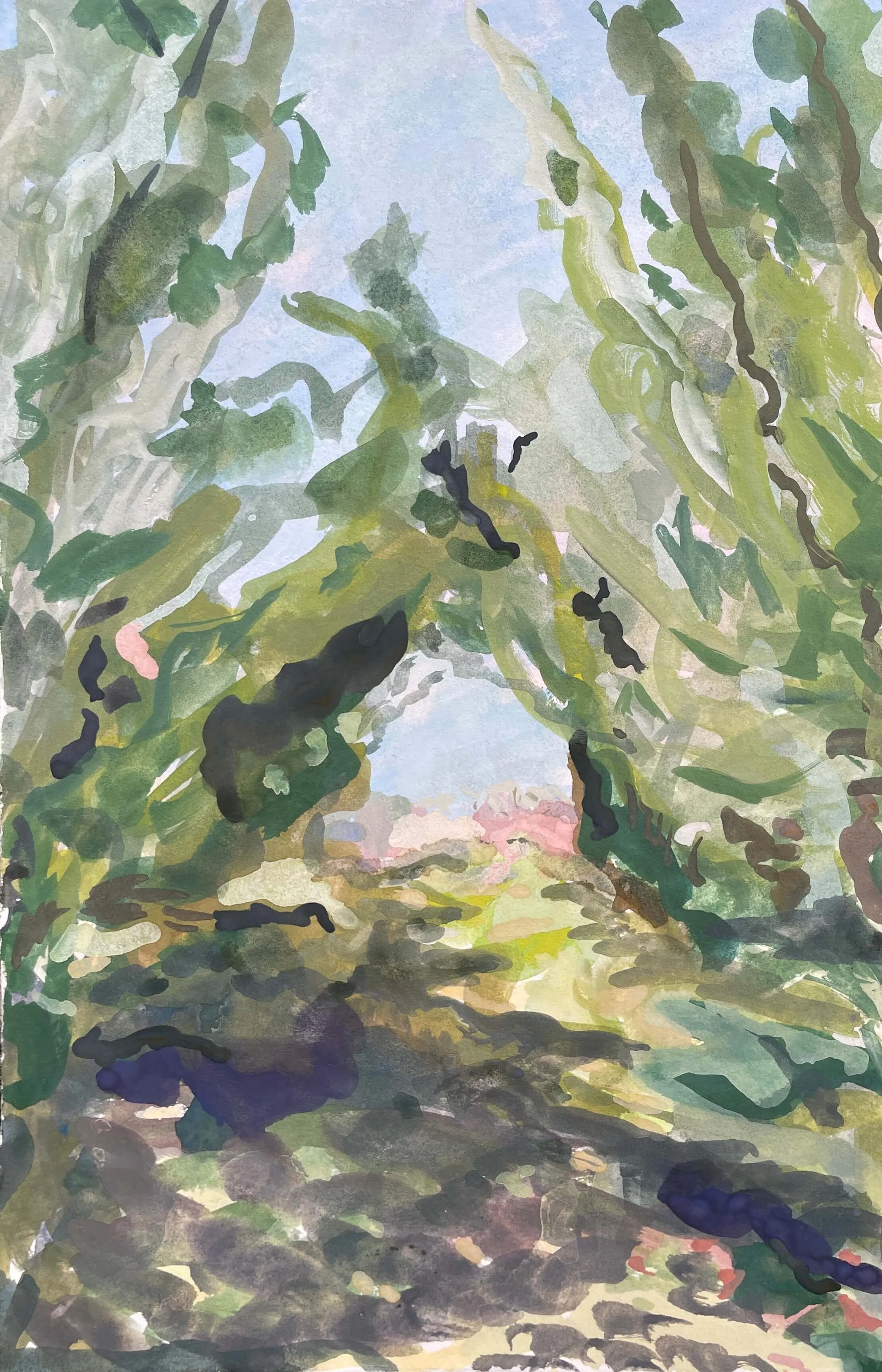 Tunnel of trees