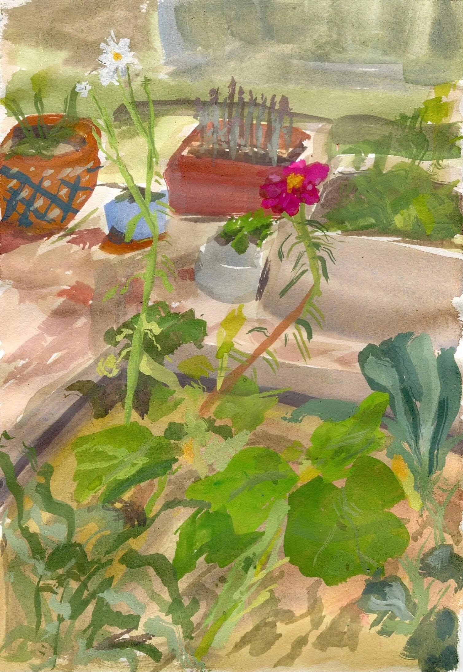 Bloom