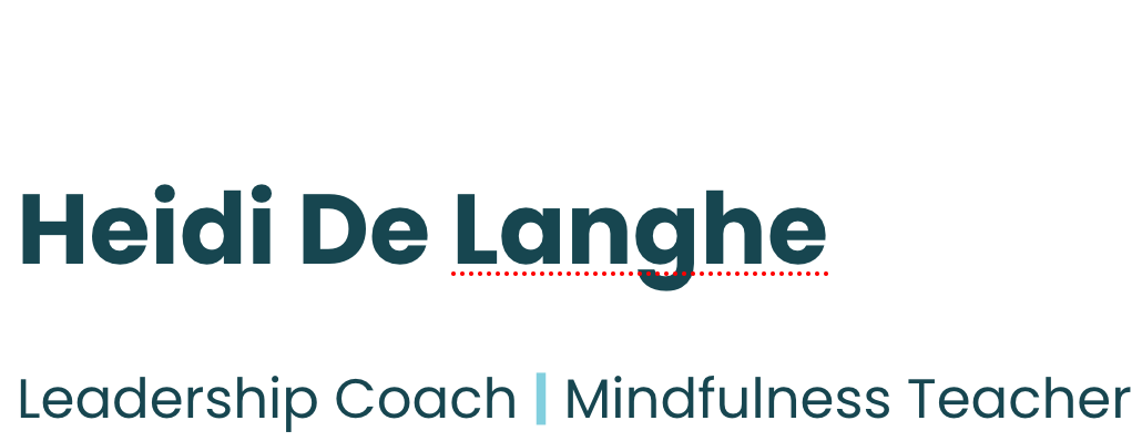 Heidi De Langhe