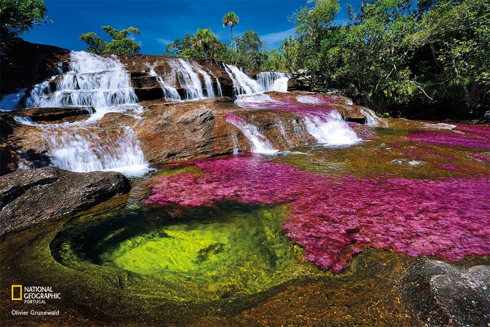CRISTALES_1_LOGO.jpeg
