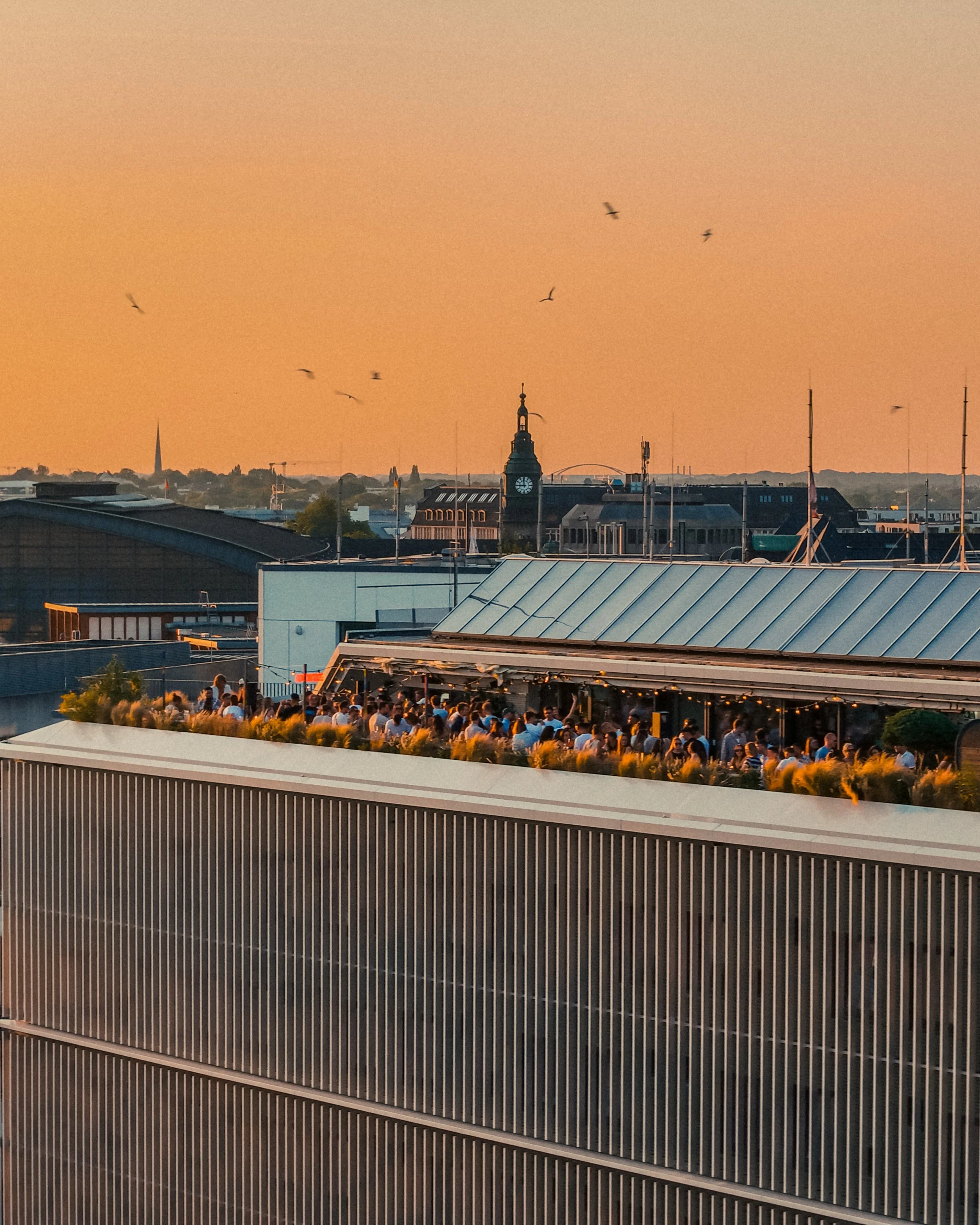 erku-set-rooftop_21.06.24-2.JPG