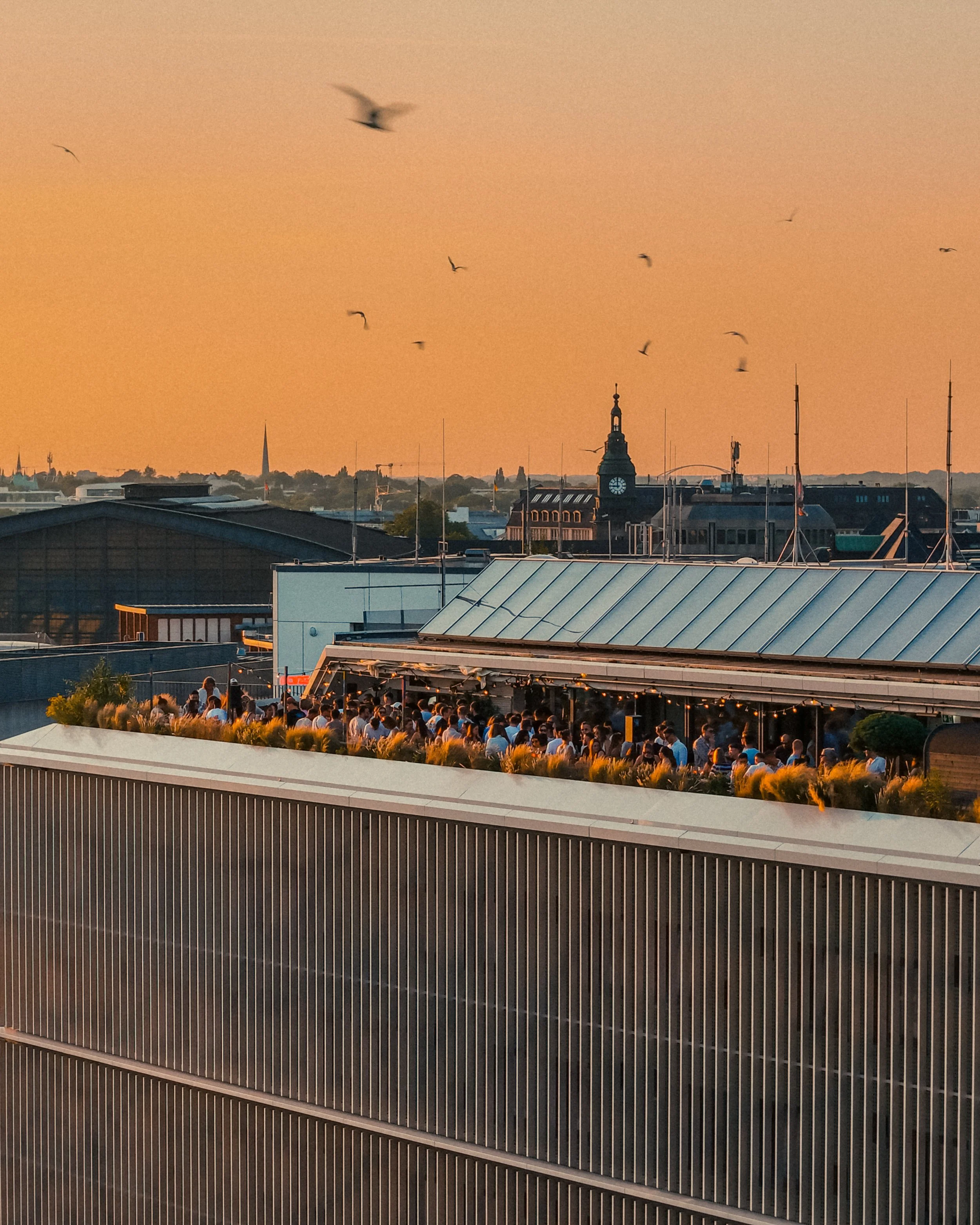 Erku Sunset Rooftop Set - Event
