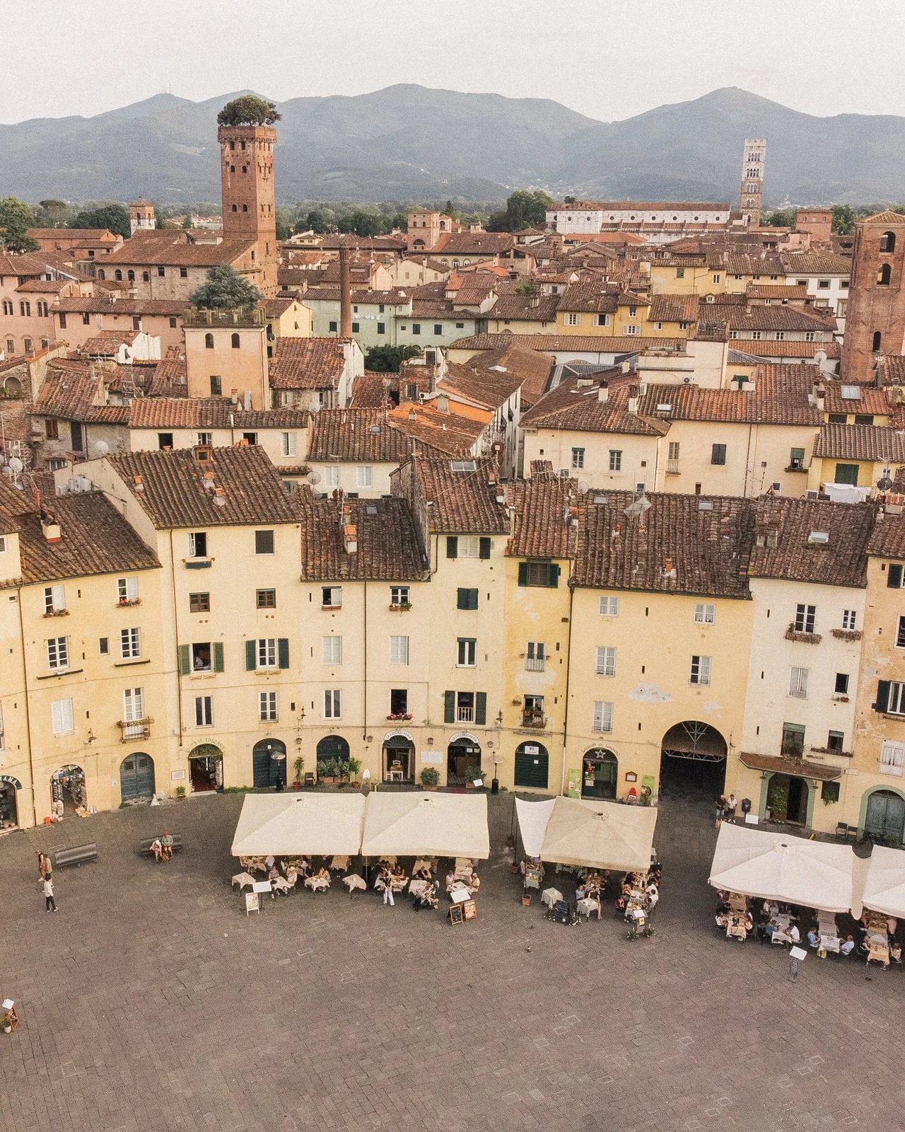 Lucca Wedding Photographer Ammonite Stories