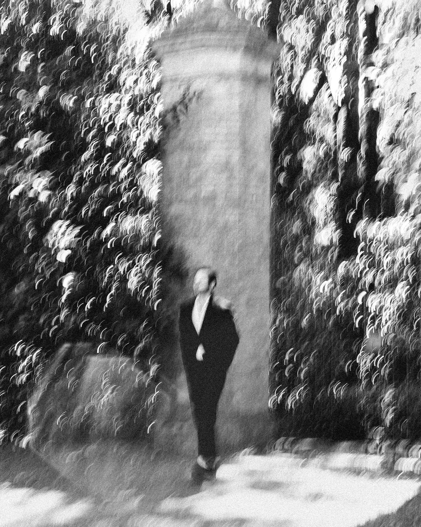 Groom walking in the garden of @villacentofinestre 

#wedding #smallwedding #intimatewedding #italy #italywedding #weddinginitaly #italianwedding #umbria #umbriawedding #weddinginumbria #lalista #lalistamember #italyweddingphotographer #umbriawedding