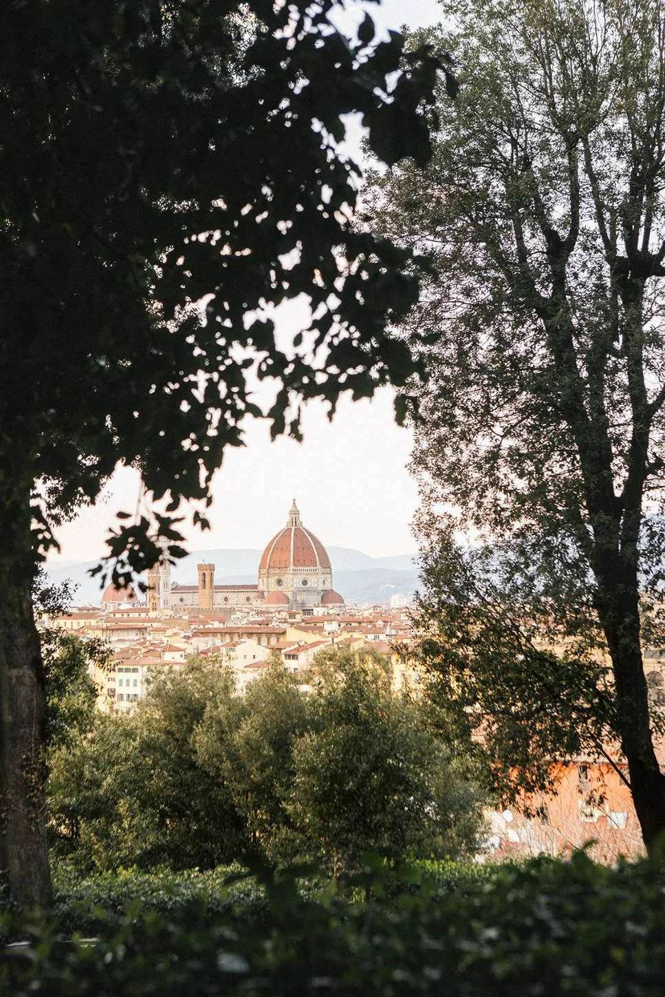 Florence Wedding Photographer Ammonite Stories