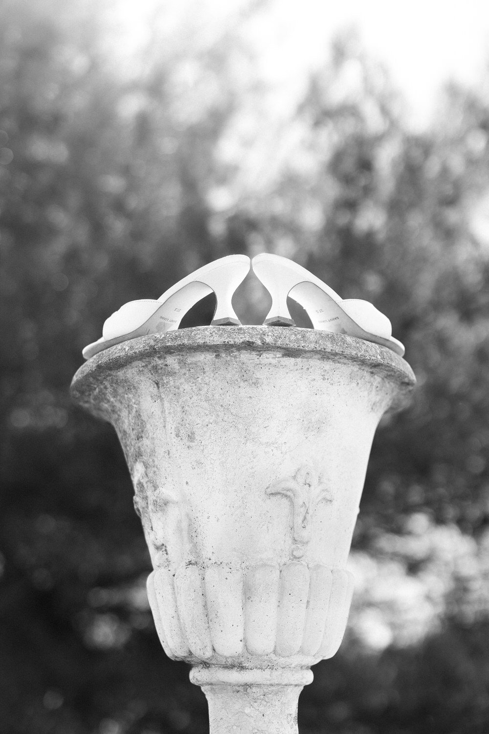 Destination Wedding Photographer in South of France