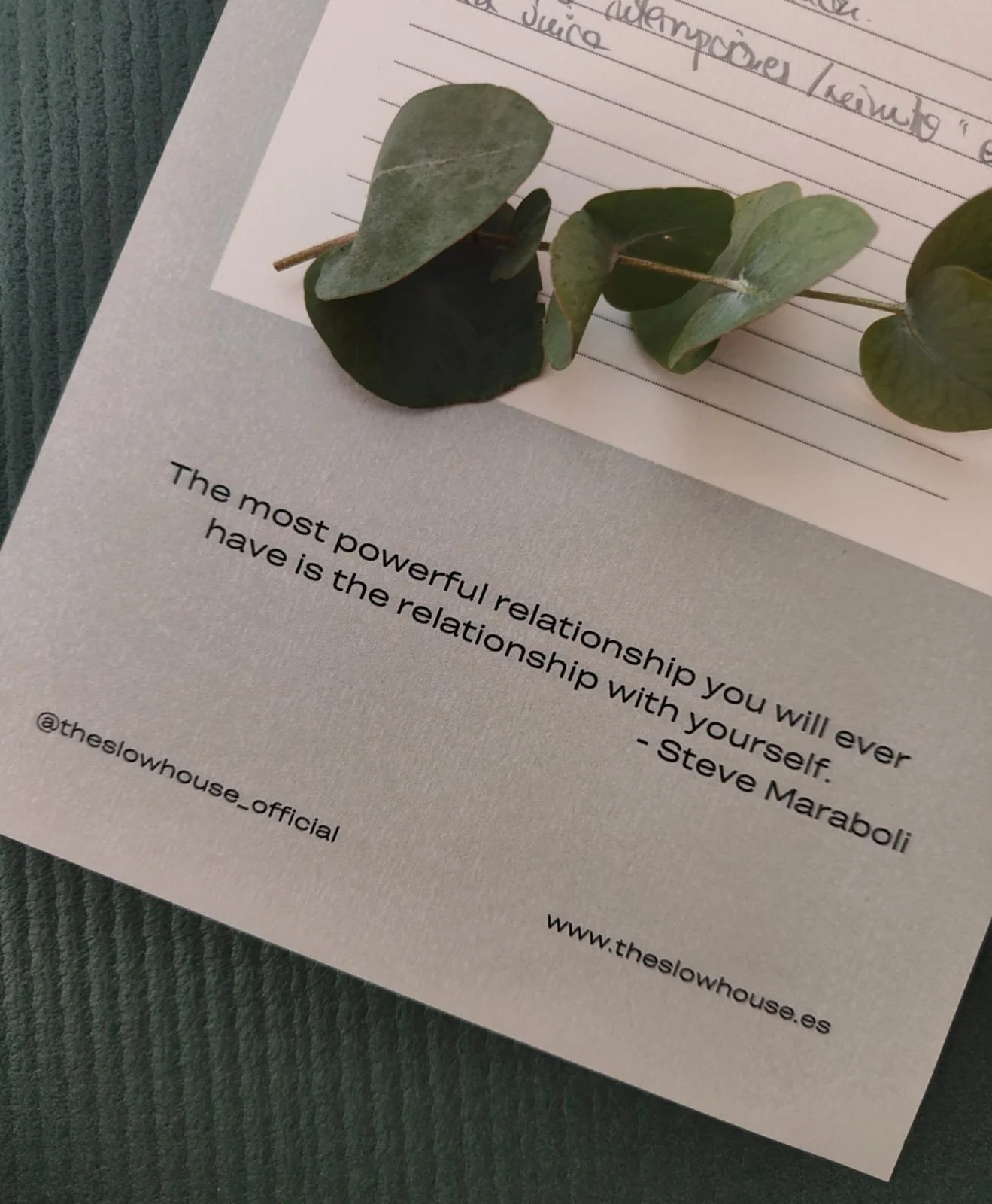 WhatsApp Image 2024-06-14 at 12.17.33 PM (1).jpeg