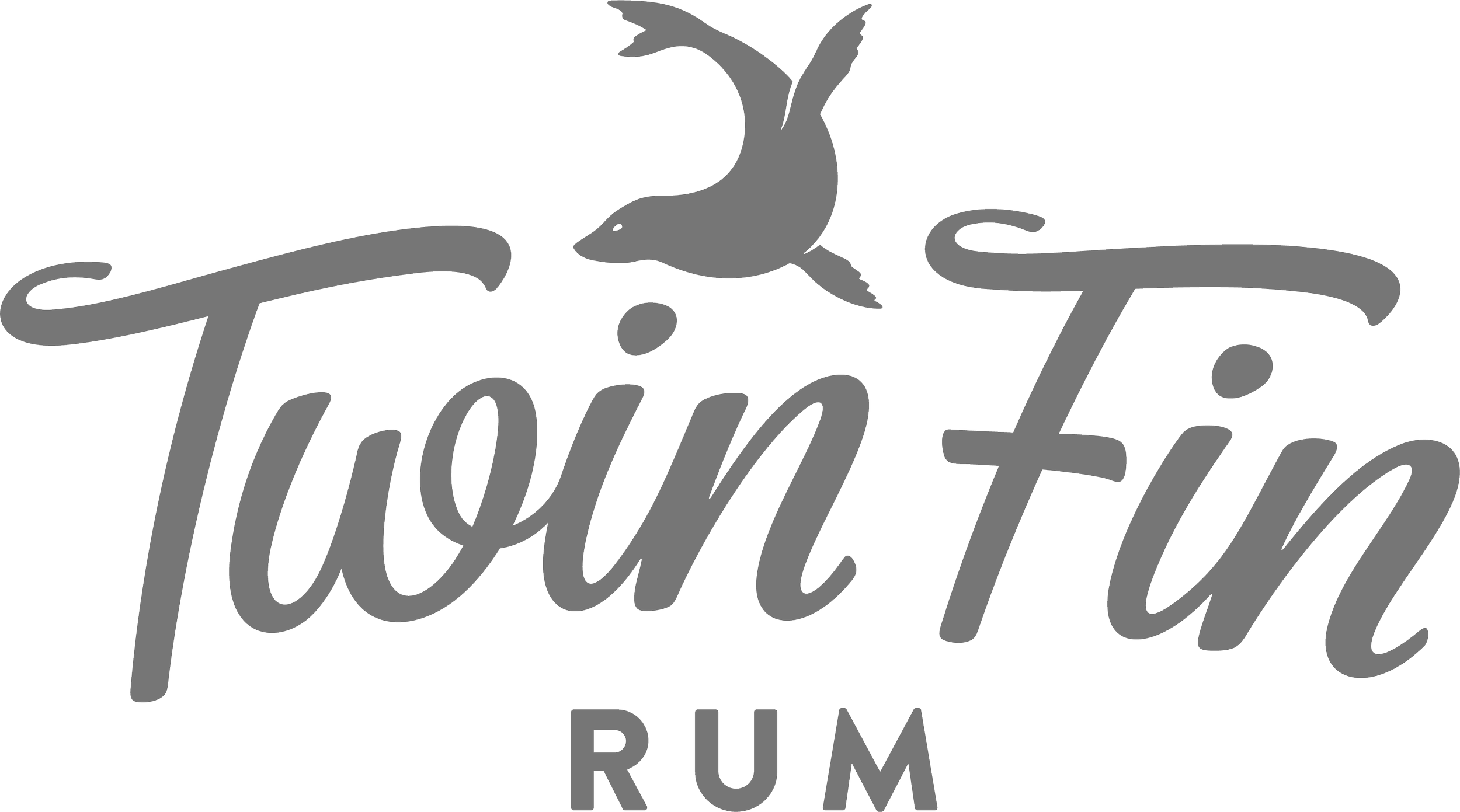 Logo for Taint Term Rum featuring a gray stylized bird over the words 'Taint Term' in cursive font and 'RUM' in uppercase letters below.