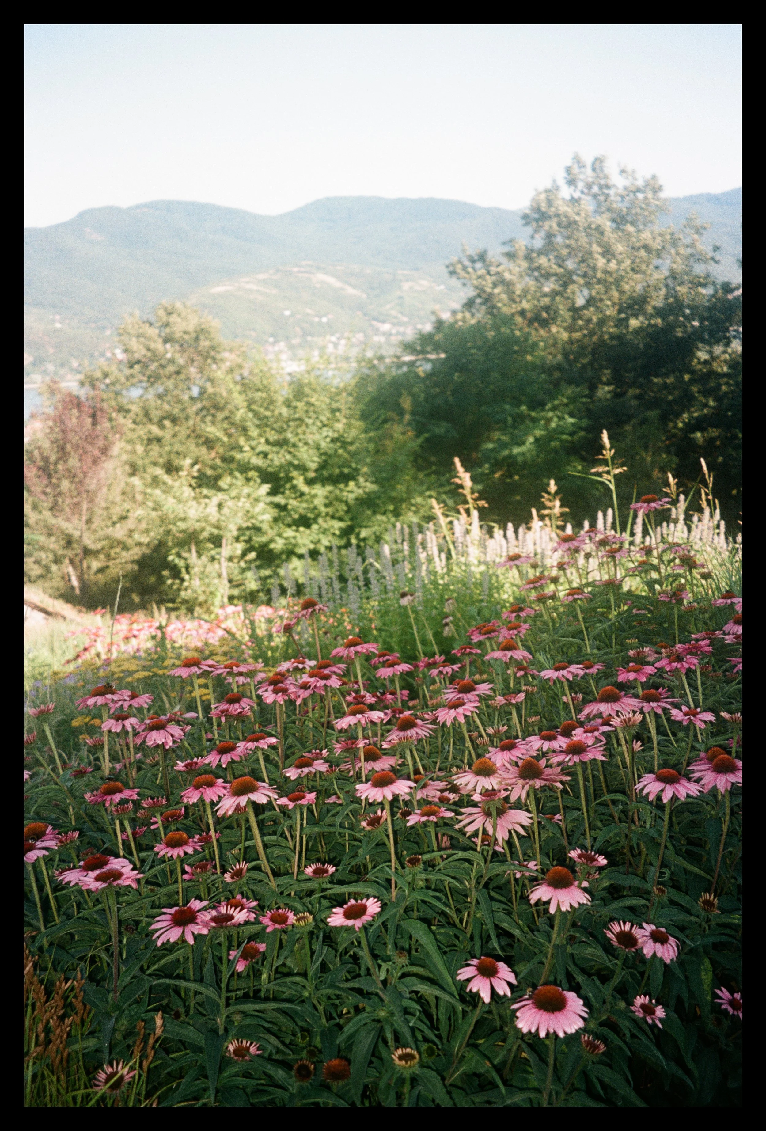 imaginedbysofia villa grand maros wedding.jpg