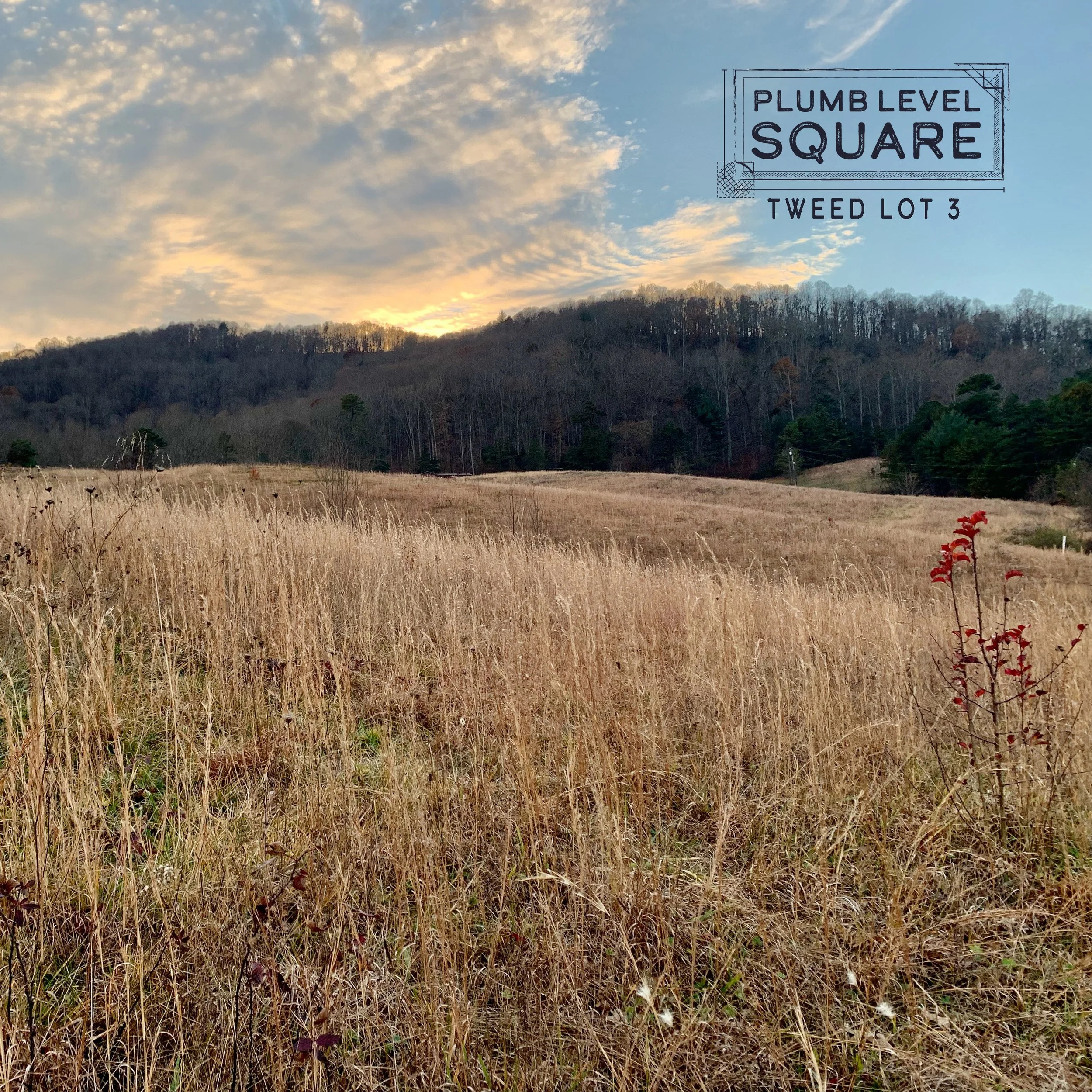 Tweed 3 Winter Views.jpg