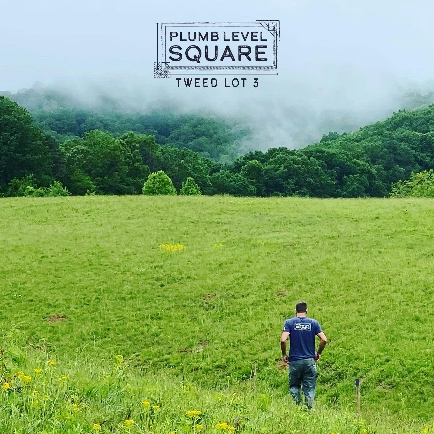 Tweed 3 Spring Views.jpg