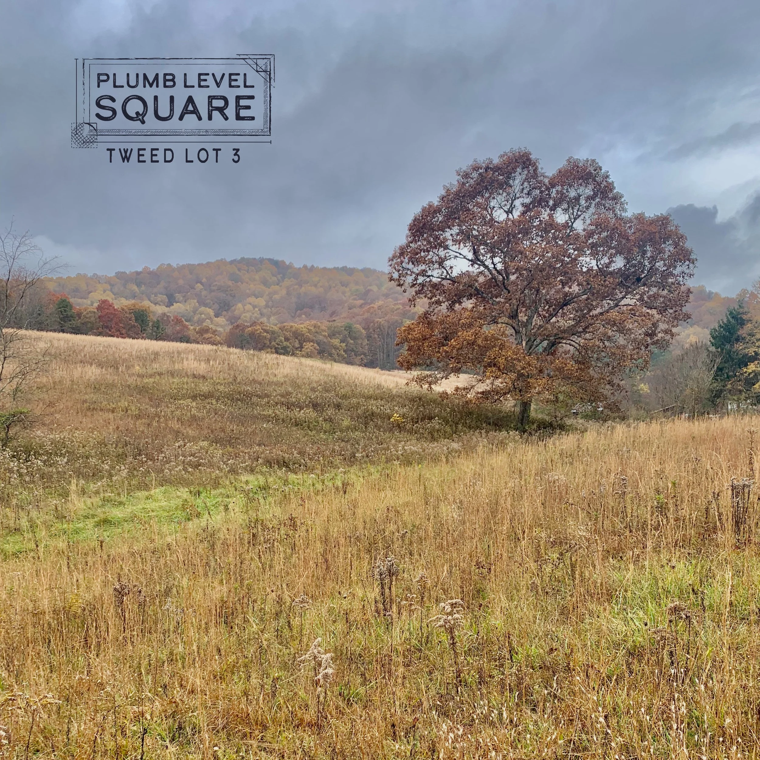 Tweed 3 Fall Oak.jpg