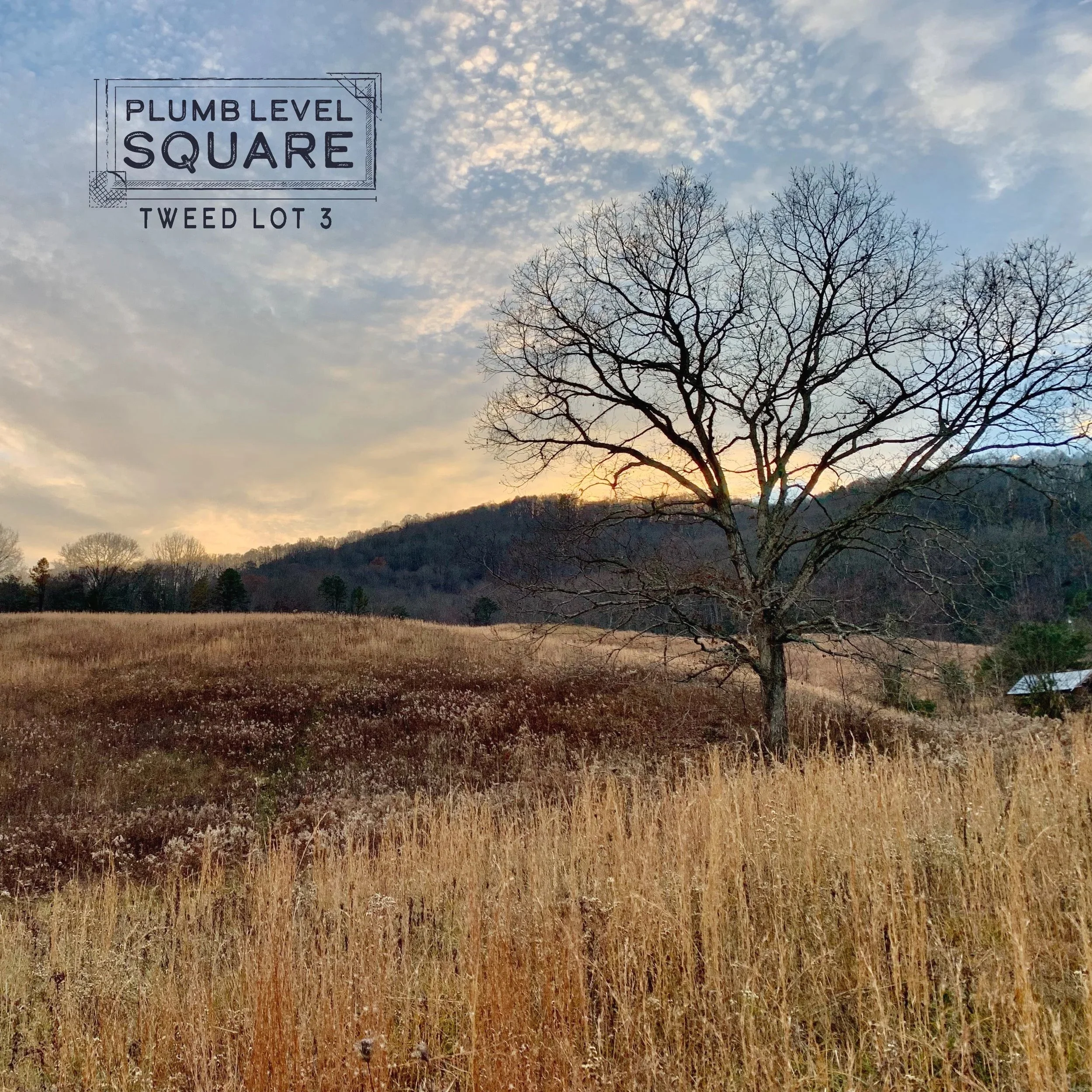 Plumb Level Square land for new construction home in Leicester North Carolina