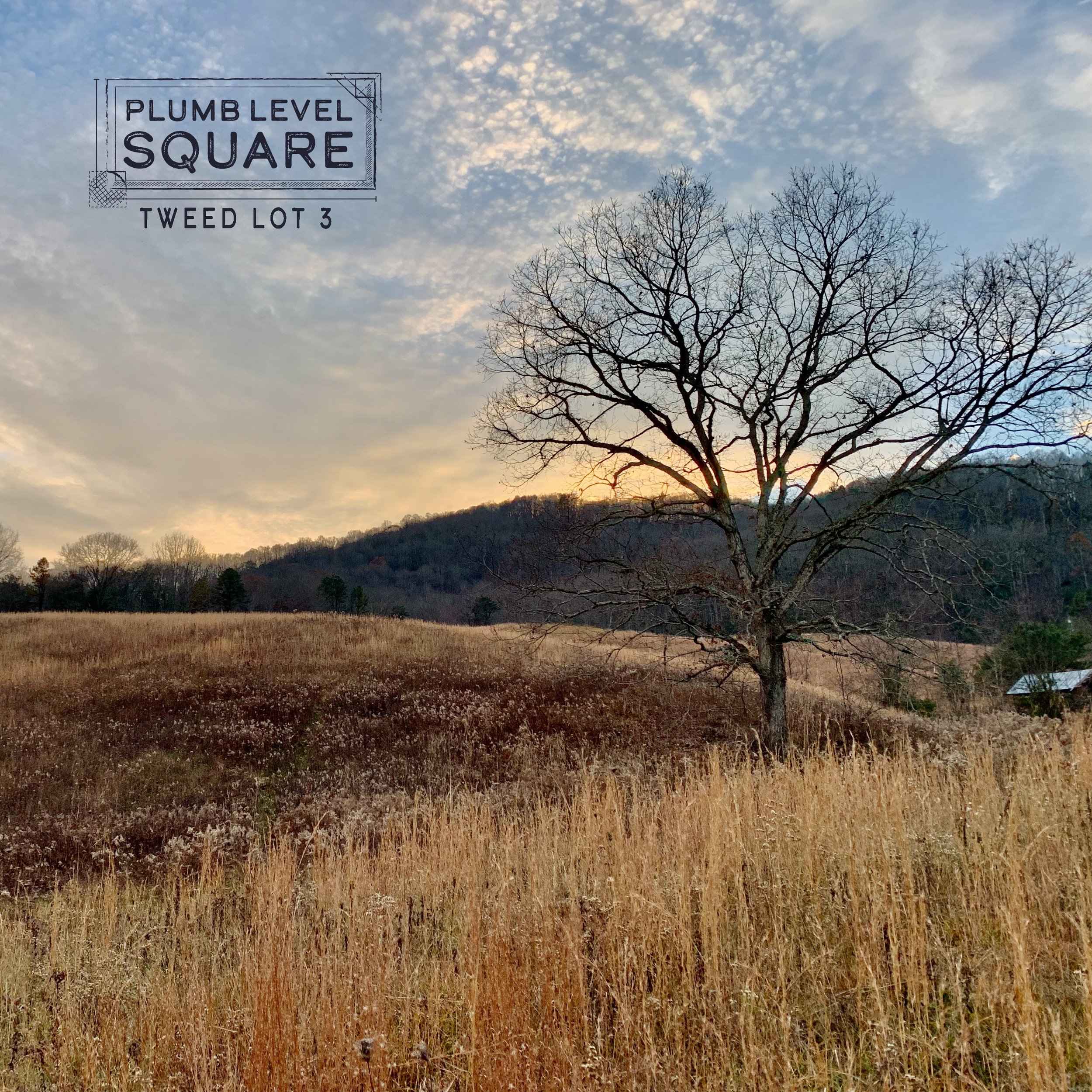 Tweed 3 Winter Oak.jpg