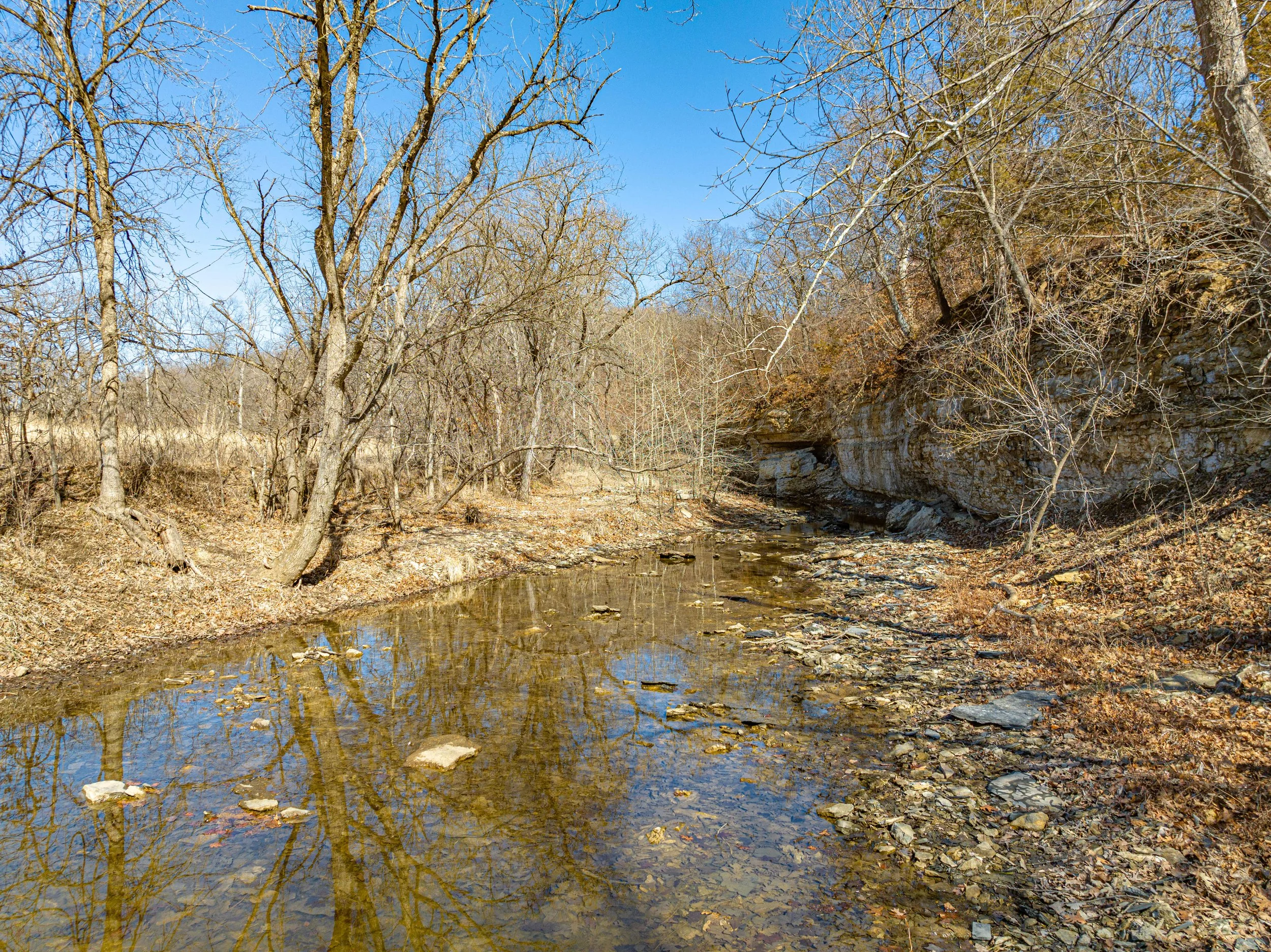Buck Creek Wildlife Area with Rex Buchanan