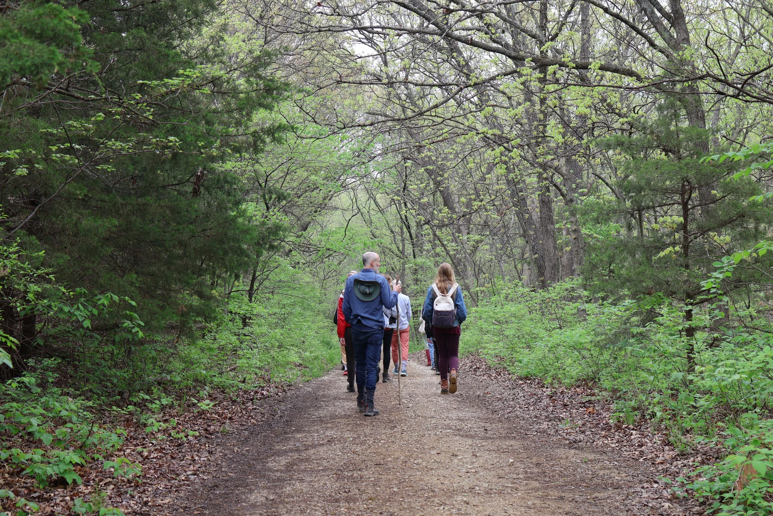 Exploring Creativity at the Earles Woodlands 