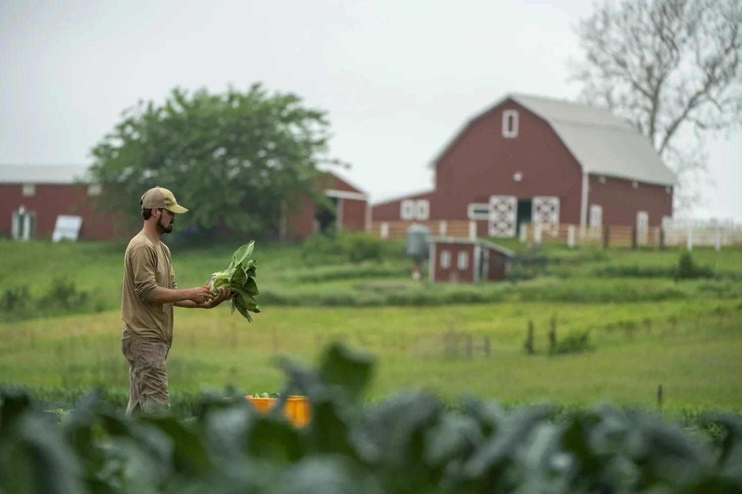 Annual Conservation Fundraiser at Juniper Hill Farm and Table