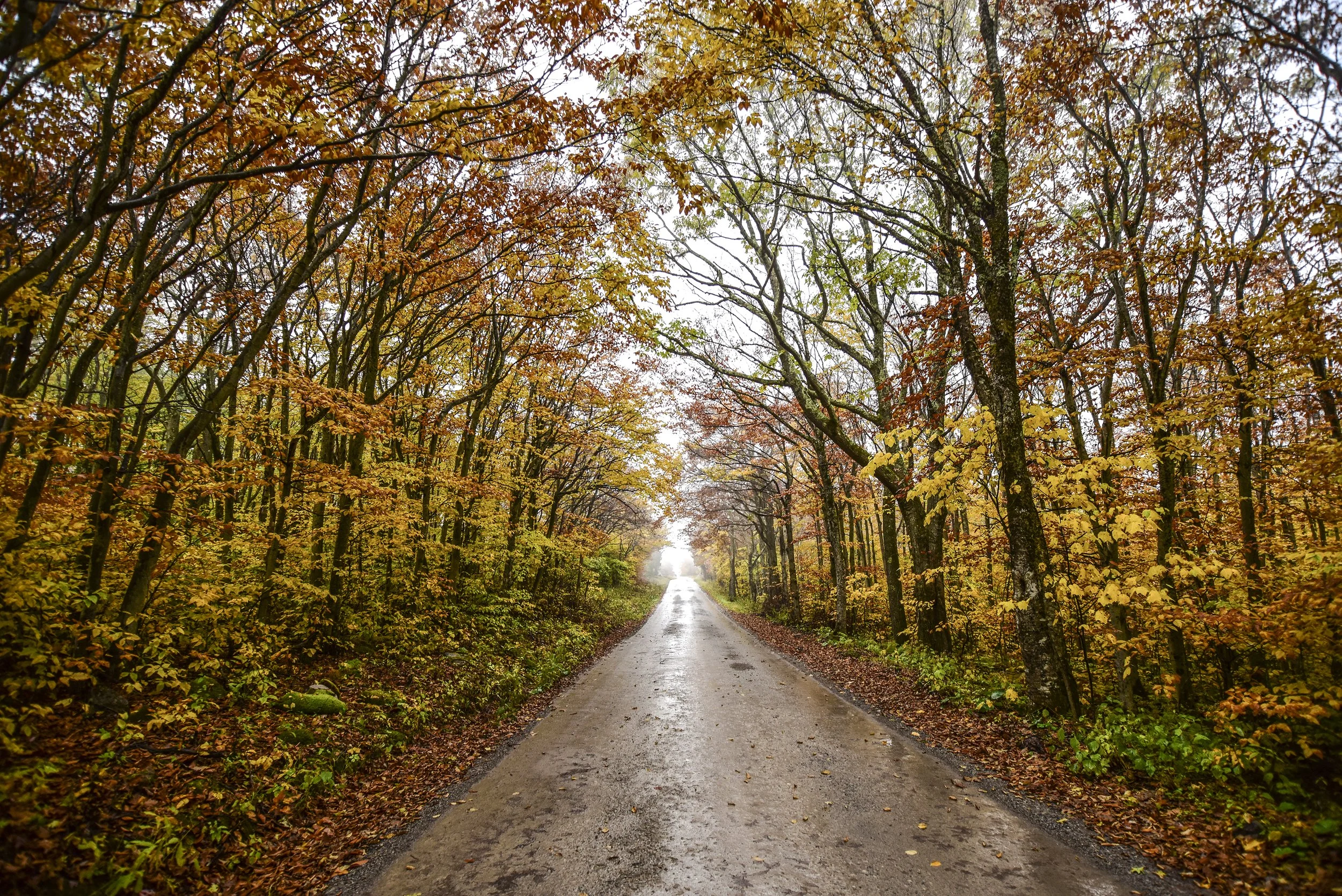 A wide place small.jpg