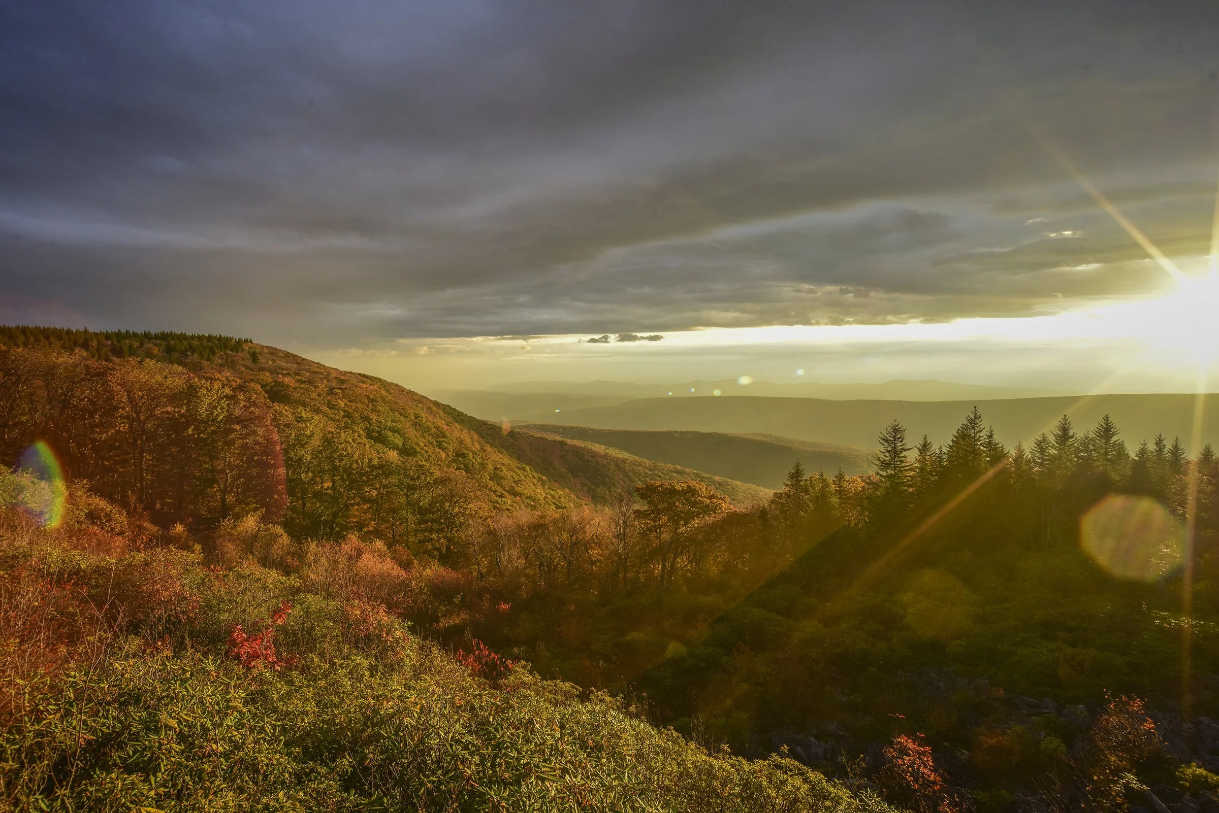 Dolly Sods web.jpg