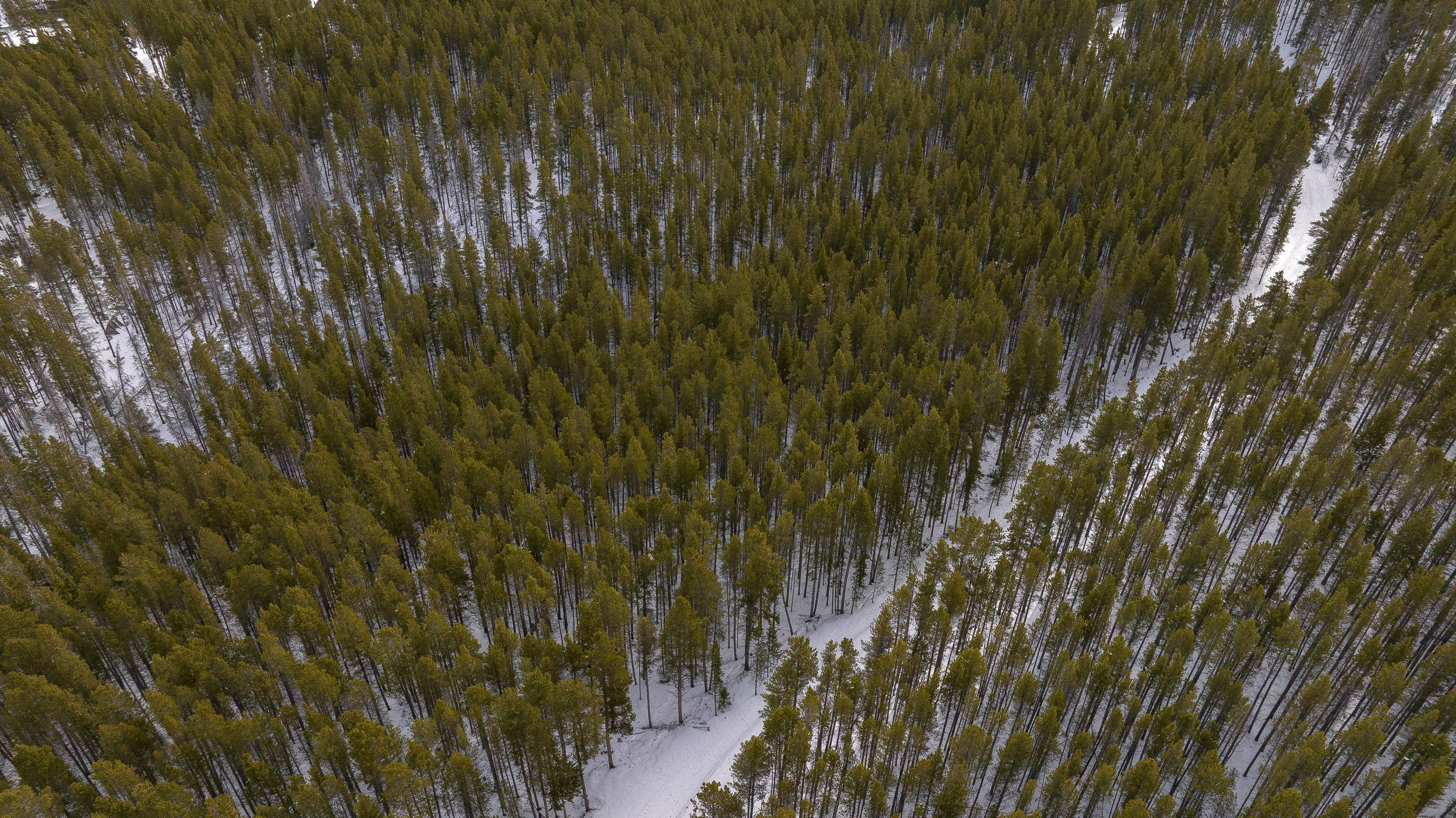 BREKENRIDGE, COLORADO