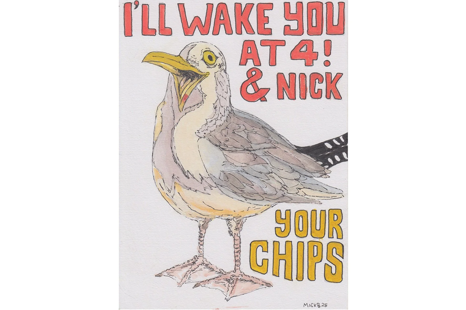 Seagull chips ratio.jpg