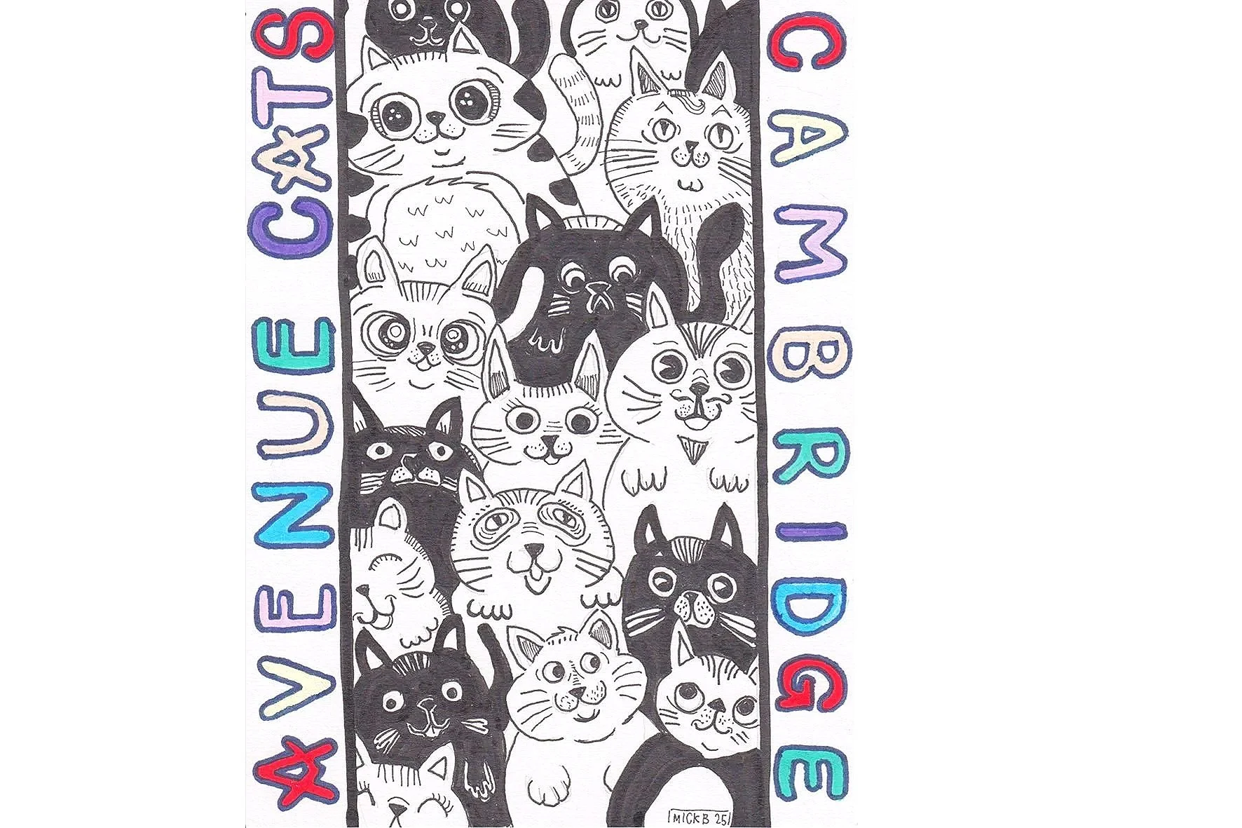 Cambridge Avenue Cats