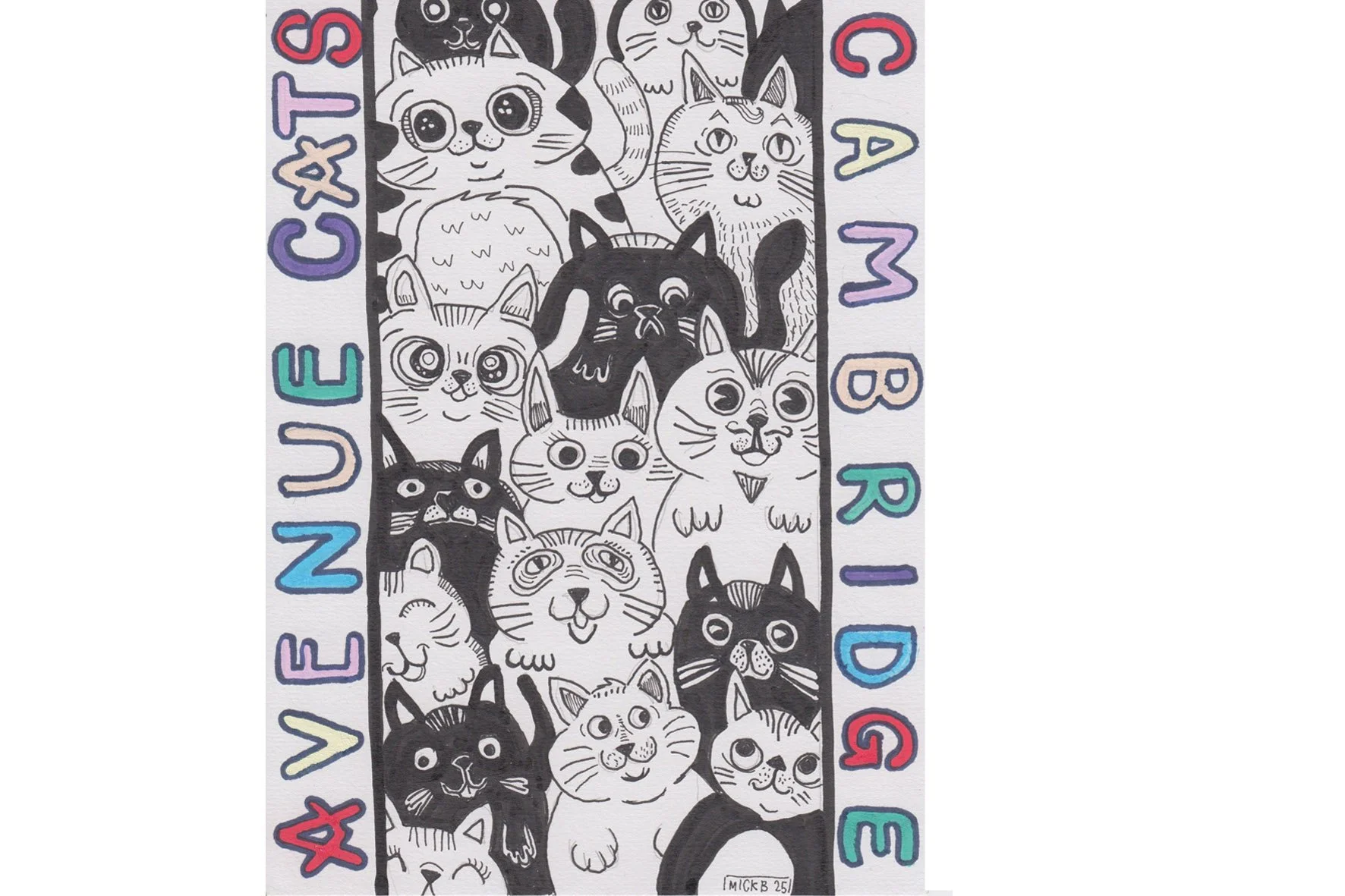 Cambridge Cats ratio.jpg