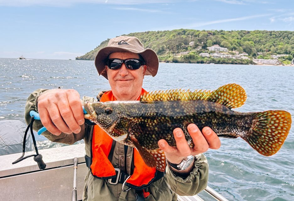 Cracking wrasse!