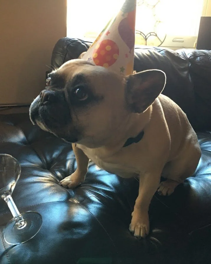 Harold 14.jpg