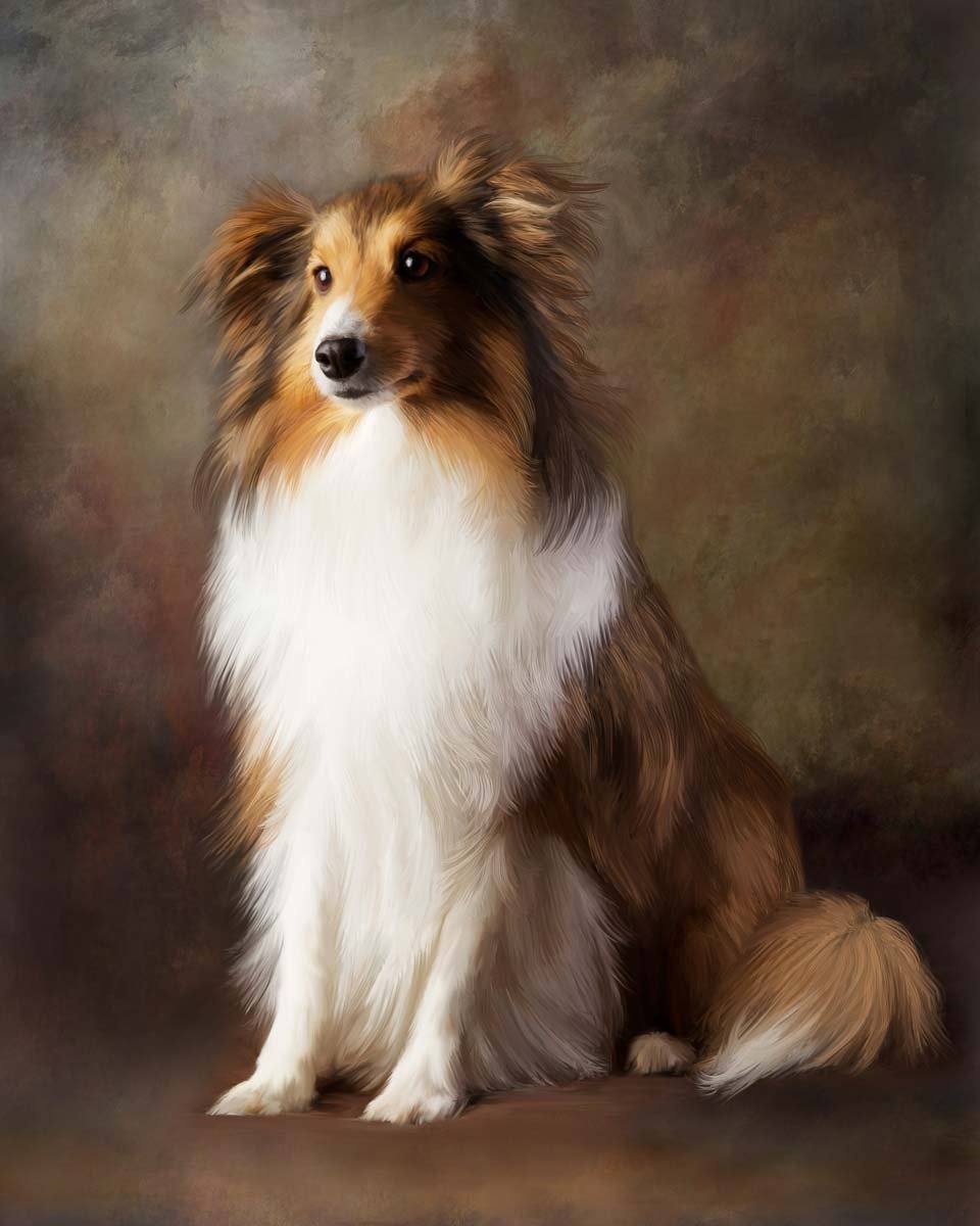 Denver CO Painterly Dog Portrait