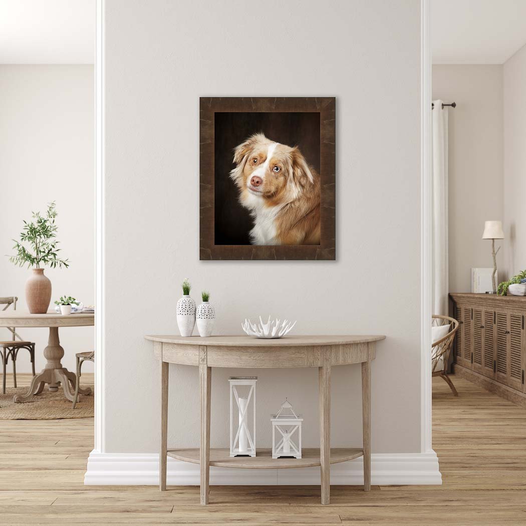 Wall Hangings For Pet Portraits Denver