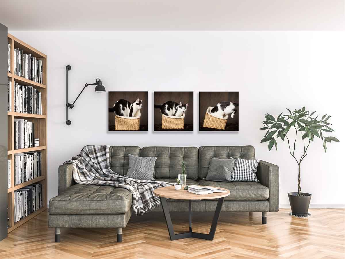  Luxurious wall art display of cat portraits 