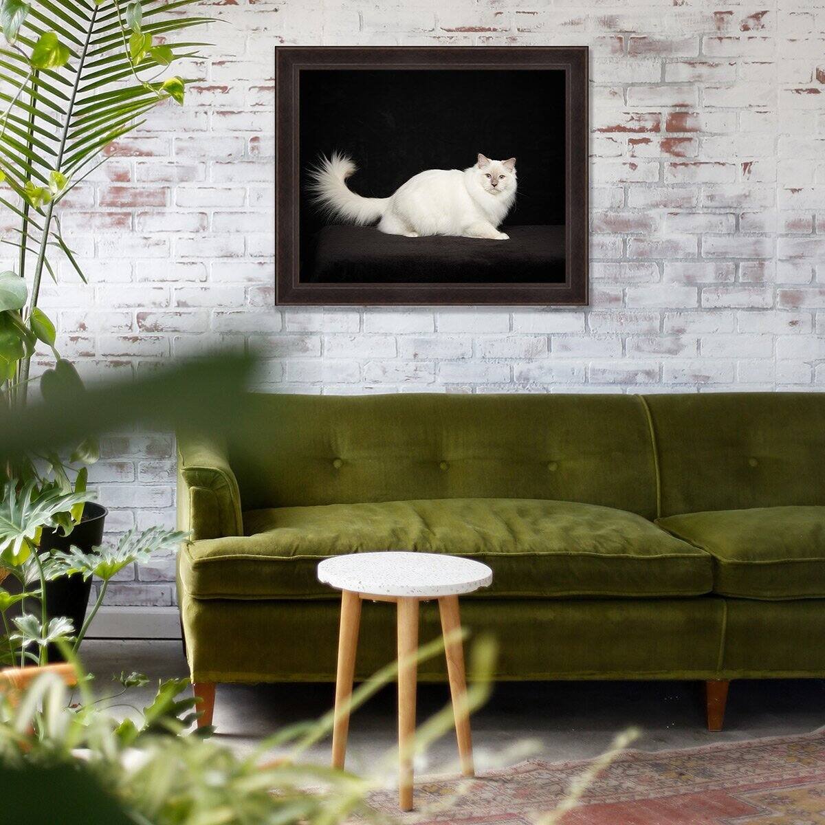 denver-feline-photography-wall-art.jpg