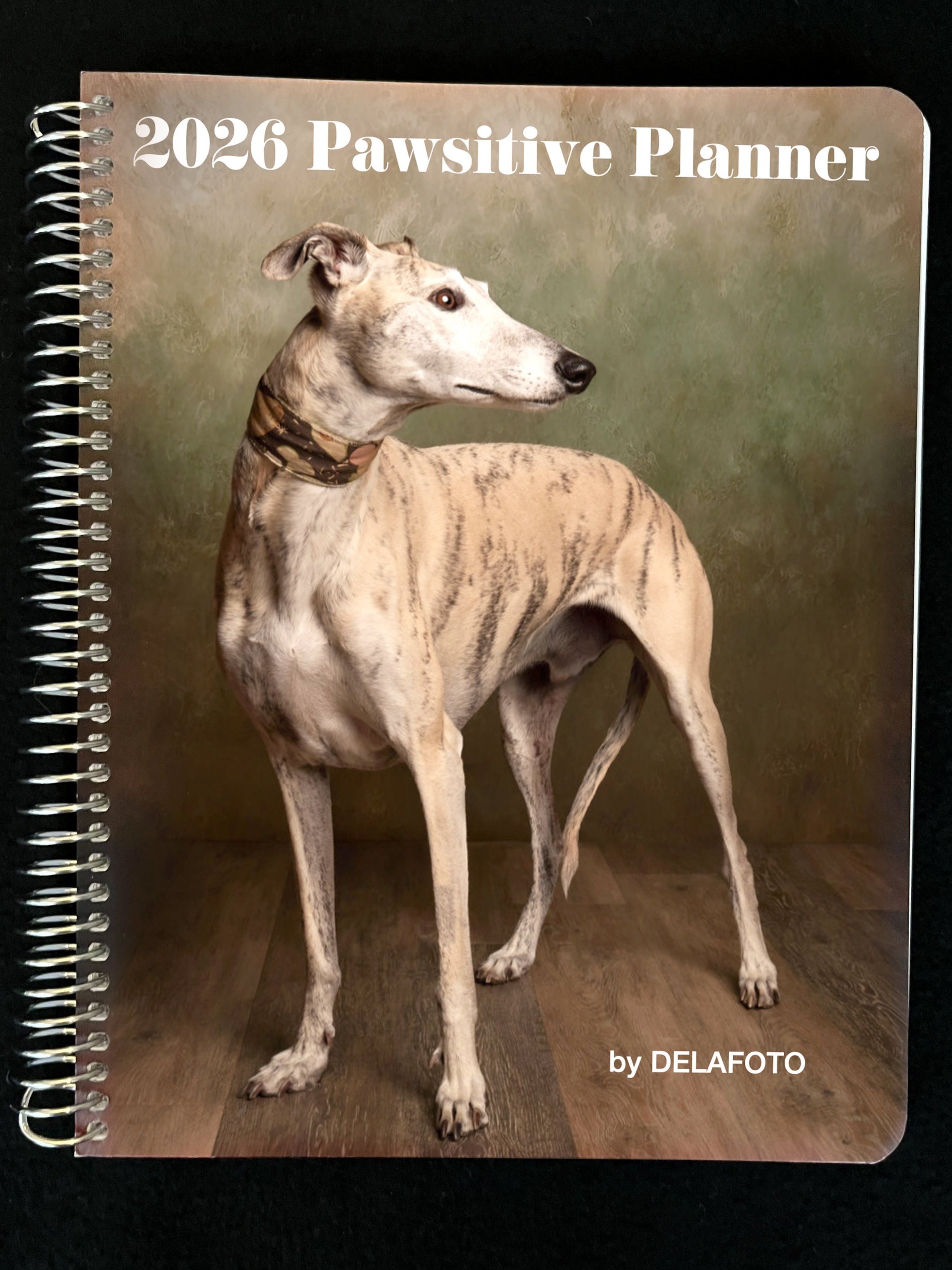 Top 5 Reasons to Choose a Weekly Planner Over a Traditional Calendar